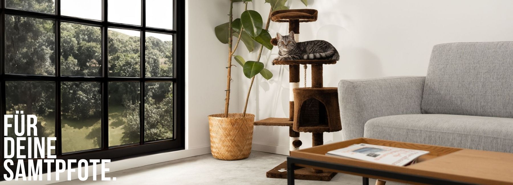 Katze klettert auf Kratzbaum mit mehreren Ebenen