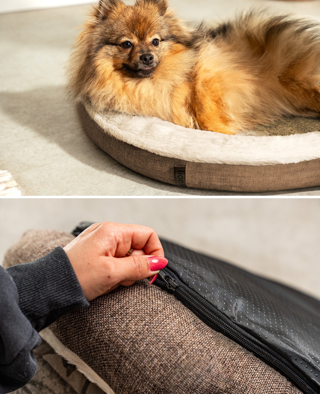 Cama redonda para mascotas, personalizada