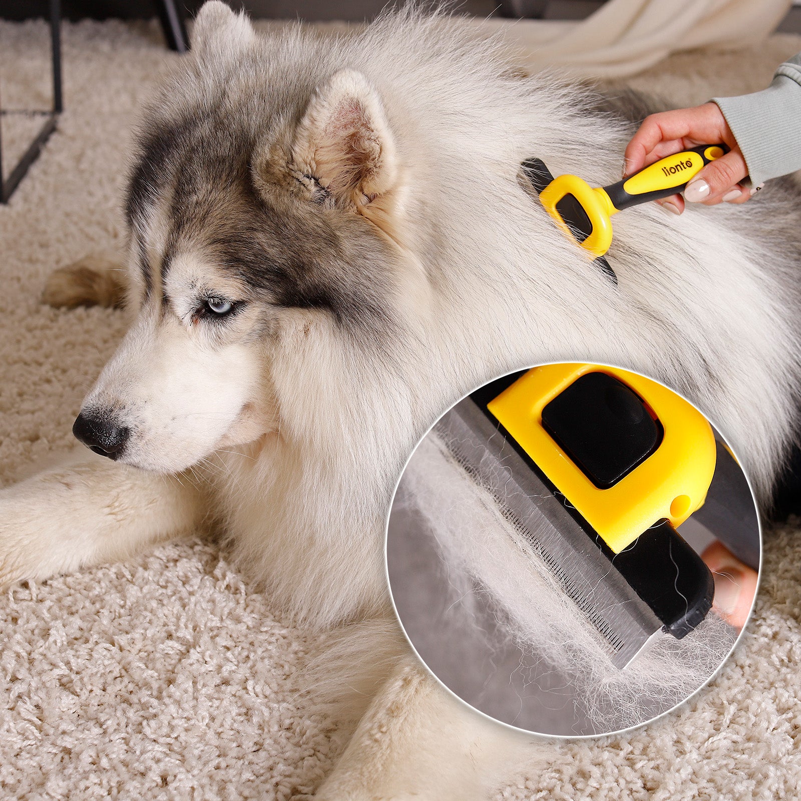 Cepillos para perros para el aseo