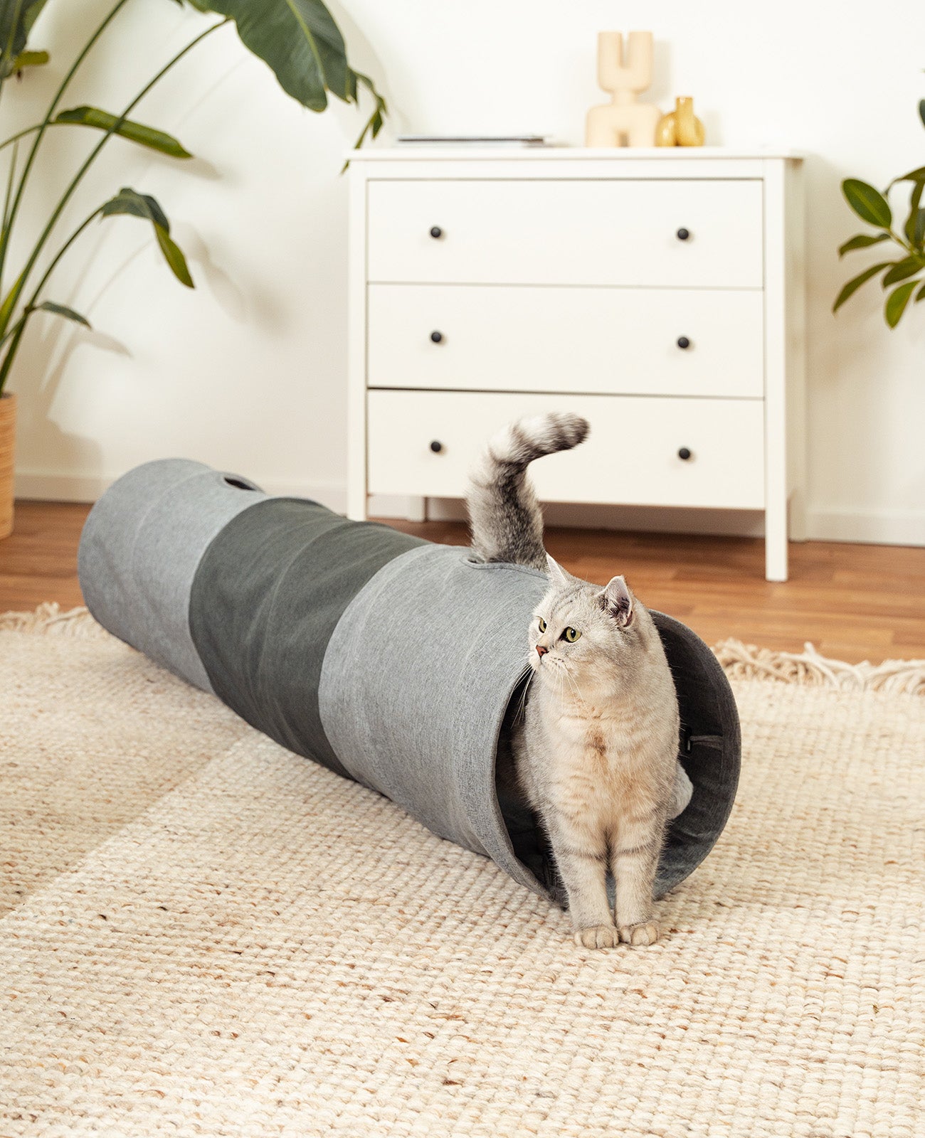 Túnel para gatos con pelota de juego