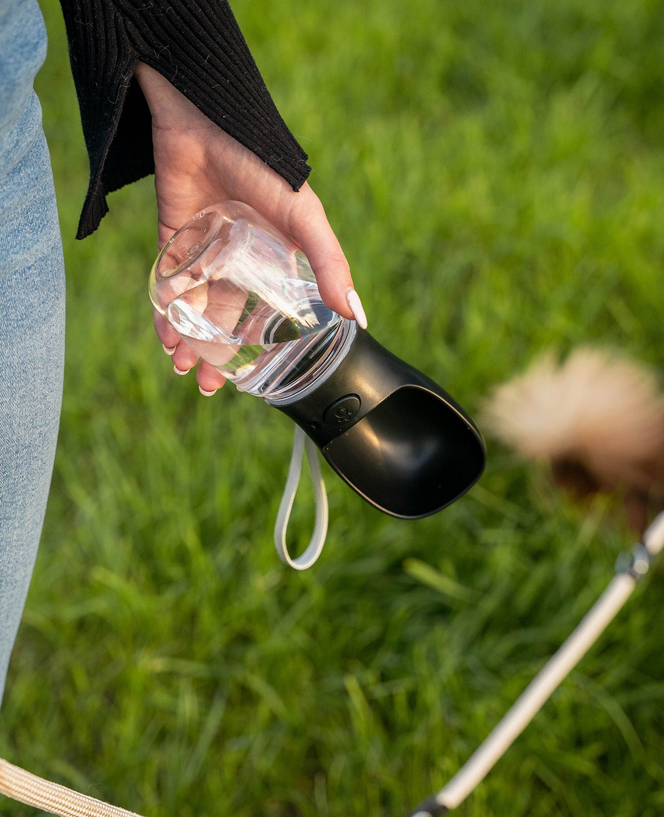 Bebedero para mascotas