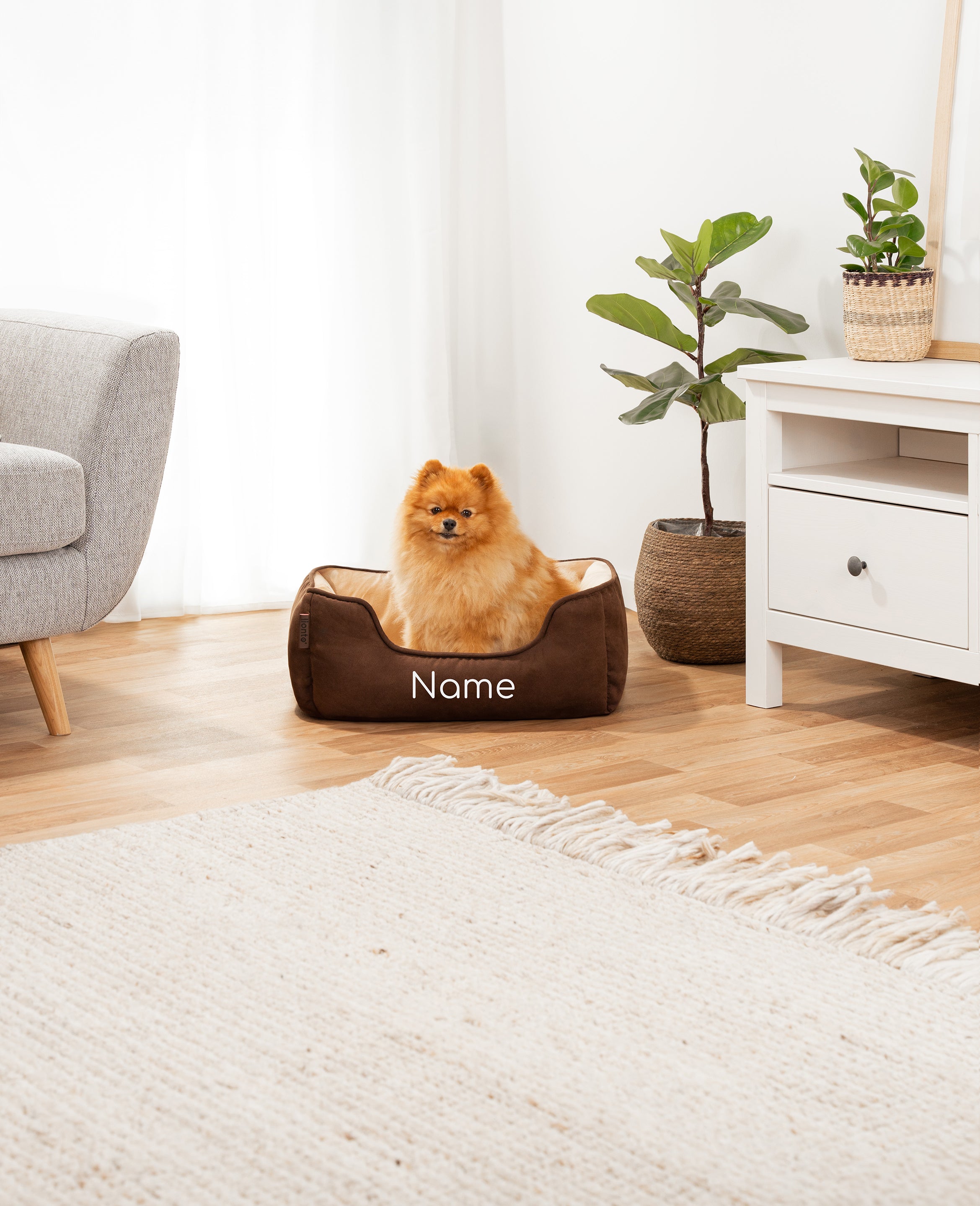 Cama para mascotas 2 en 1, personalizada