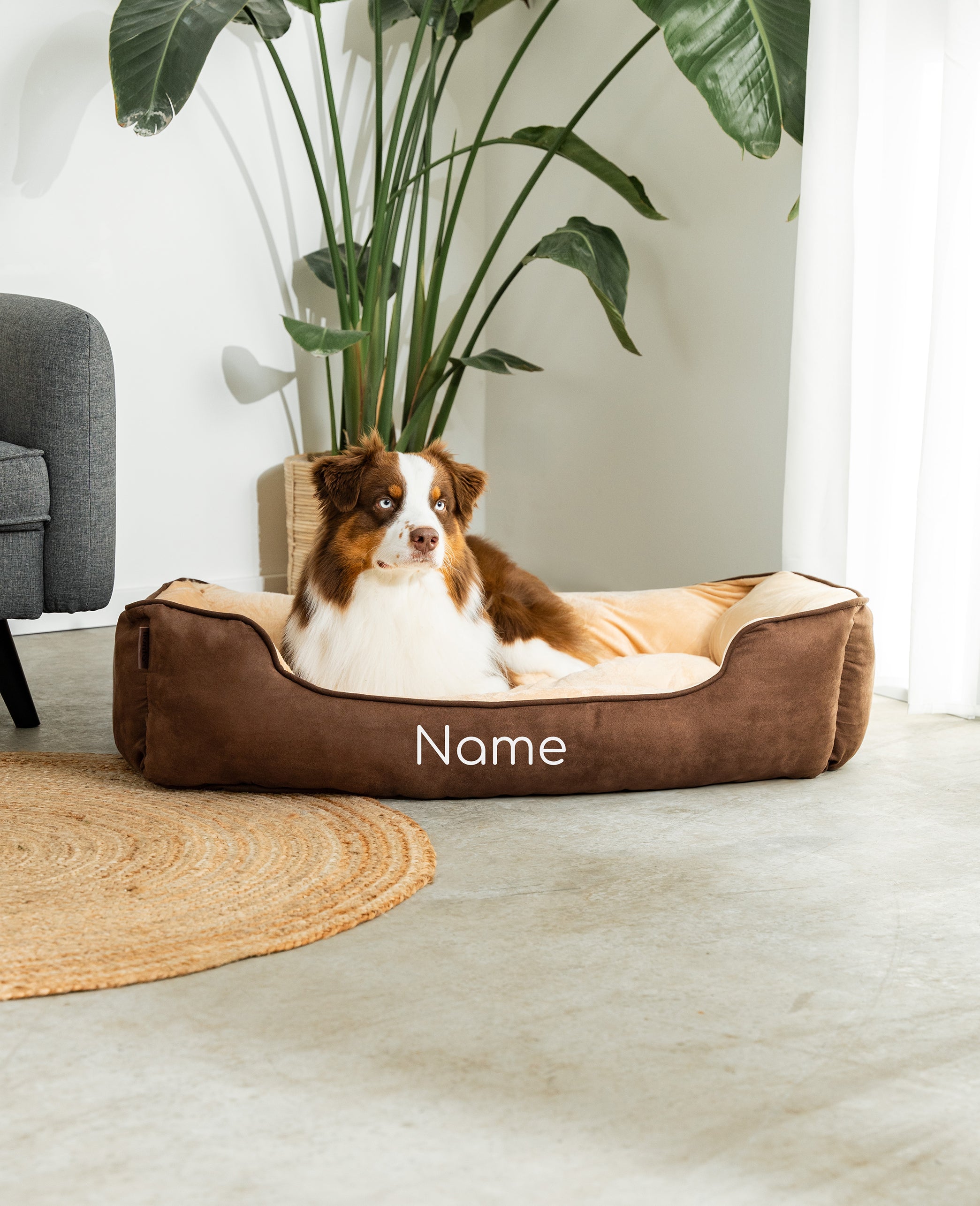 Cama para mascotas 2 en 1, personalizada