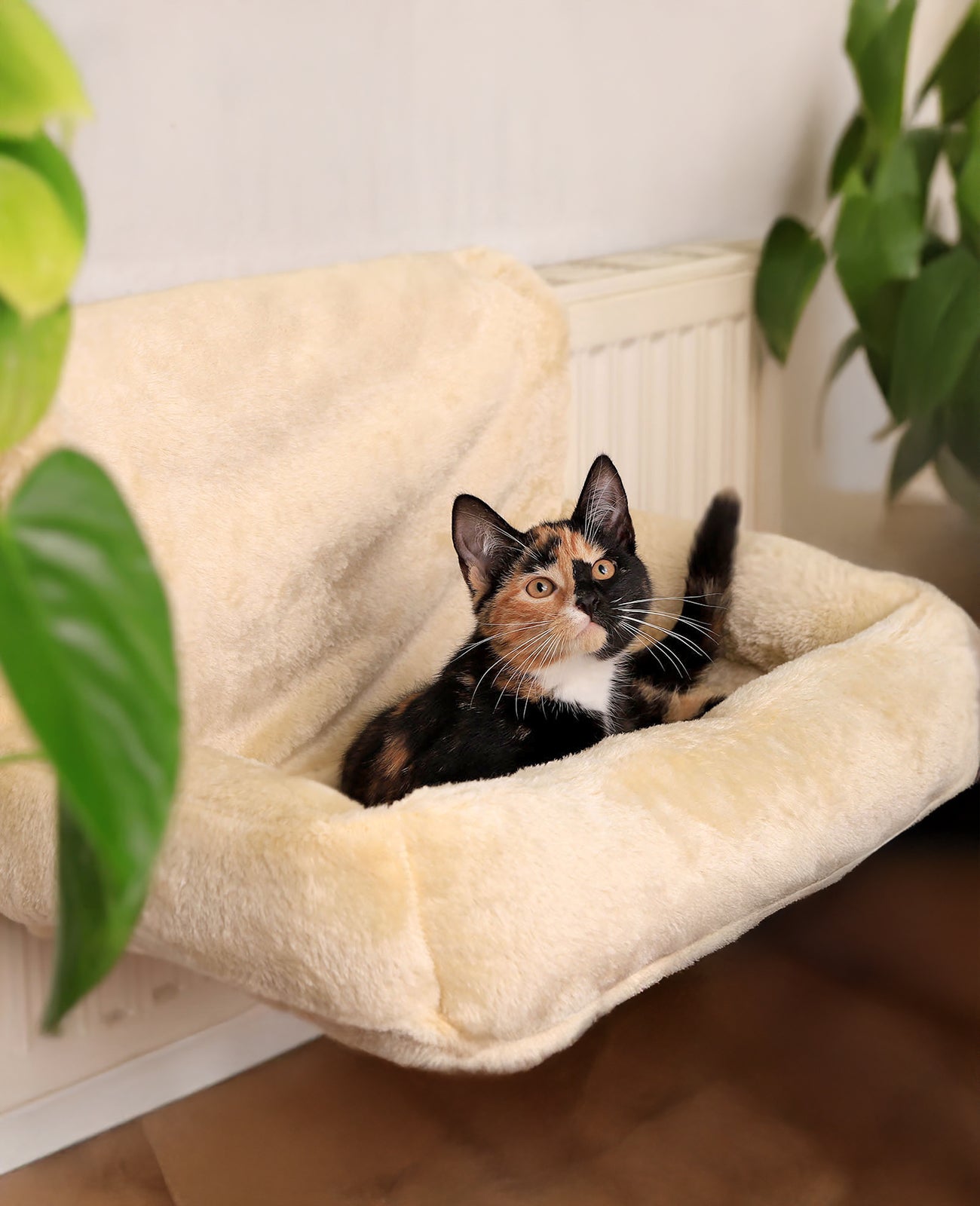 Cama Gatos Radiador