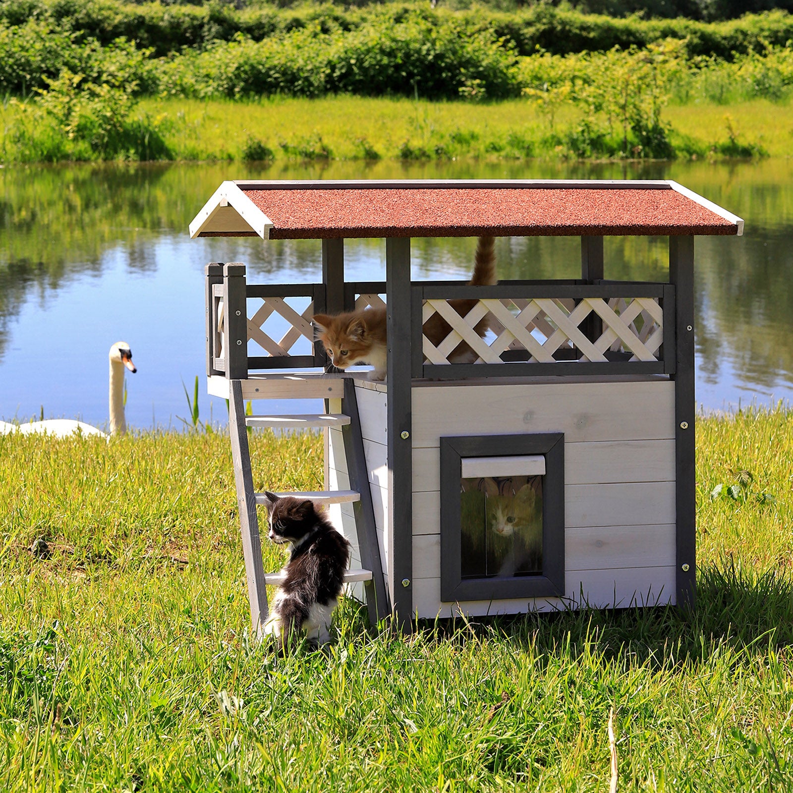Casa para gatos de madera con terraza y escaleras