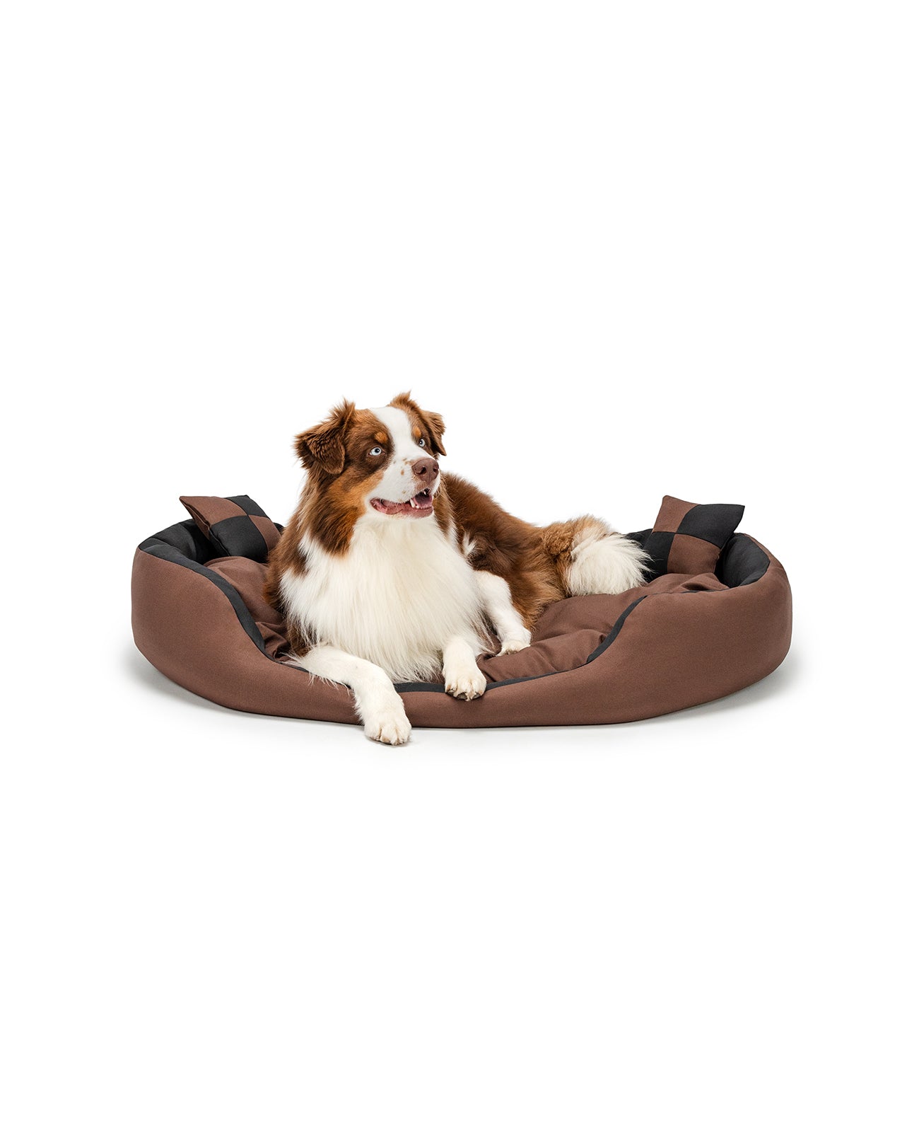 Border Collie liegt in Hundebett aus Oxfordgewebe mit Wendekissen in schwarz/braun