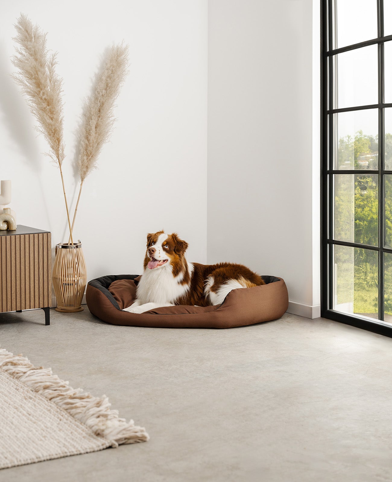 Cama para perros 4 en 1 con cojín reversible