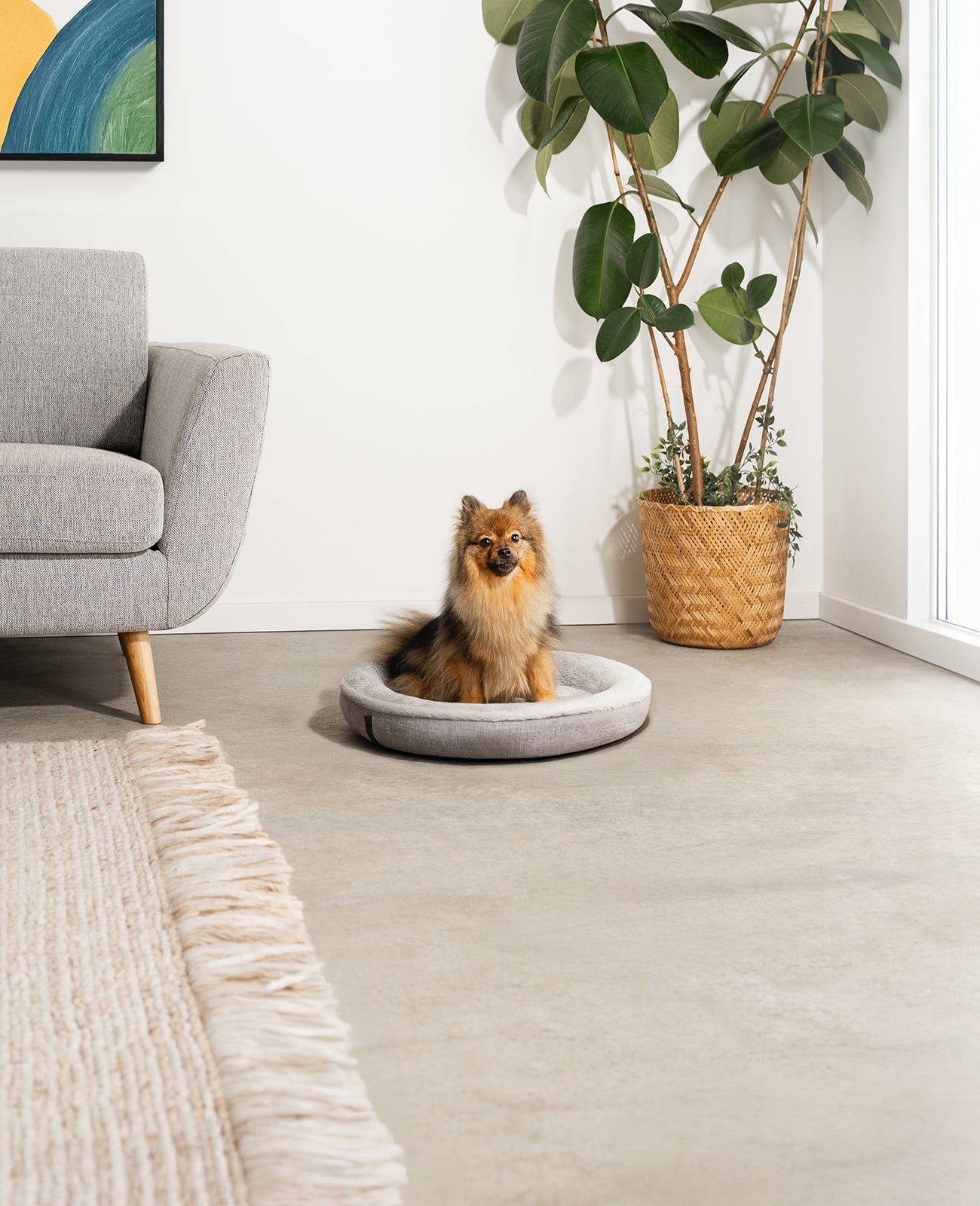 Cama para perros redonda con forma de donut