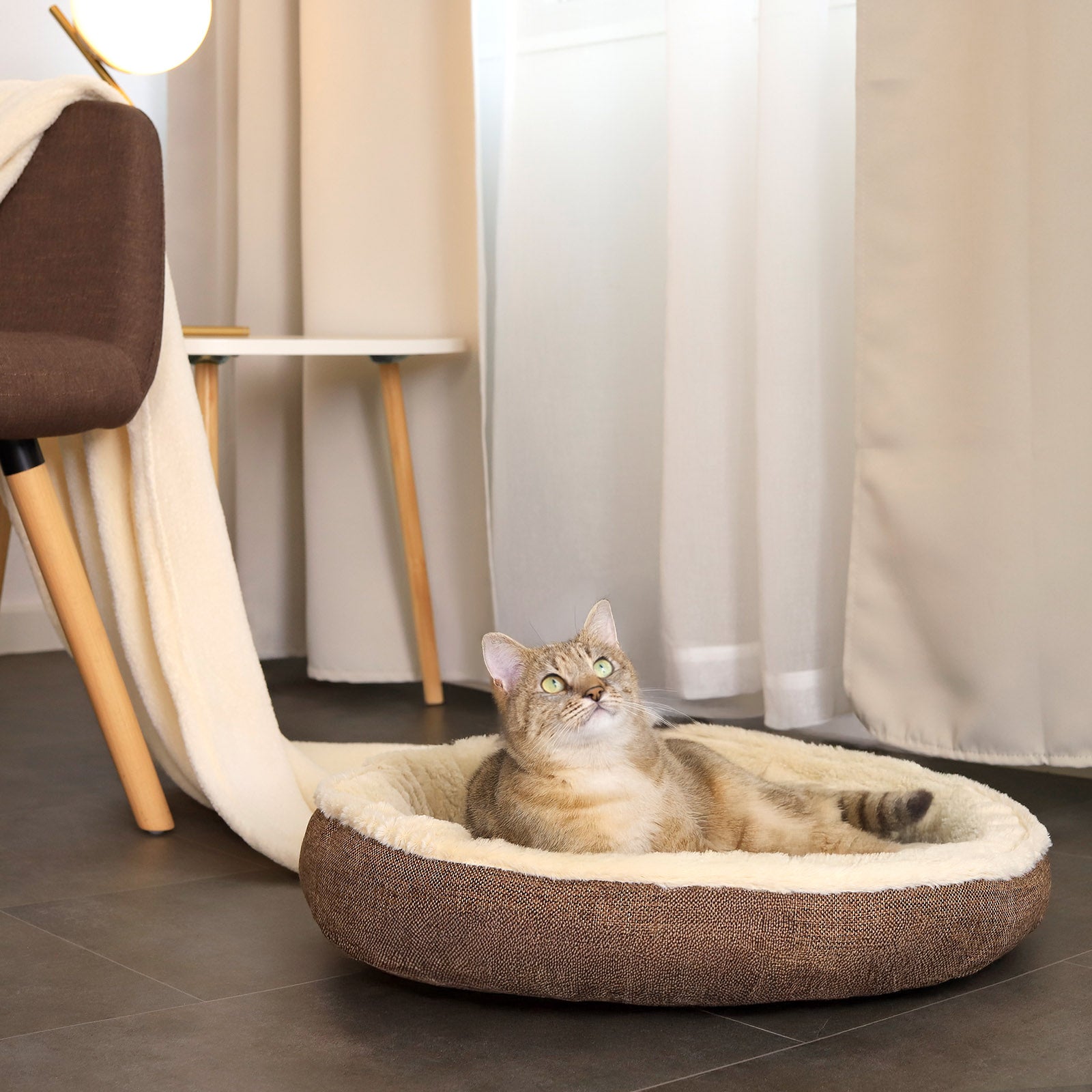 Cama para gatos con forma de donut de felpa