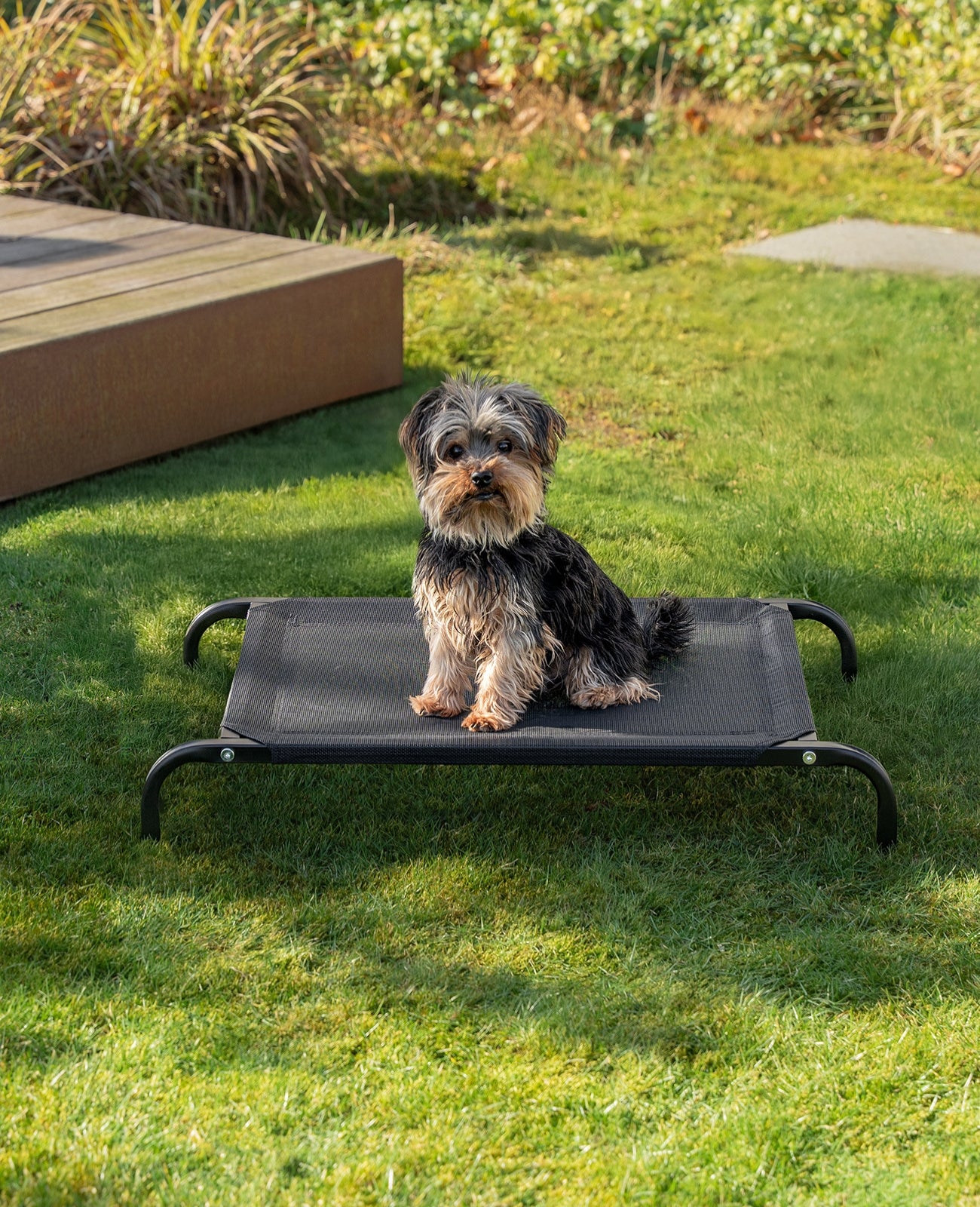 Tumbona elevada para perros para casa y jardín