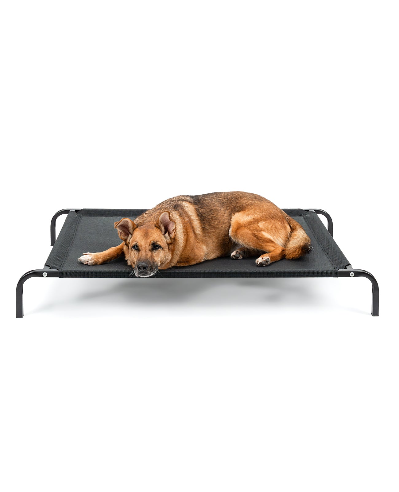Tumbona elevada para perros para casa y jardín