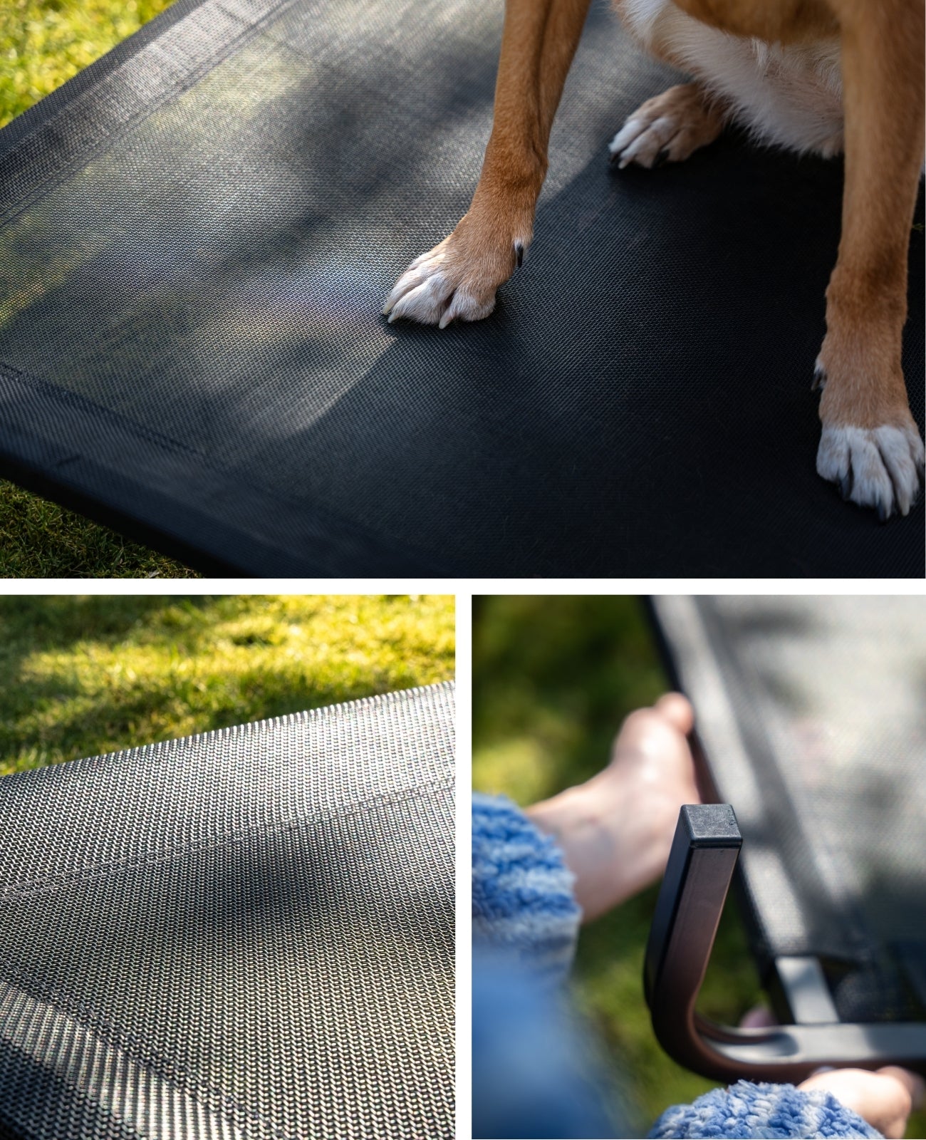 Tumbona elevada para perros para casa y jardín