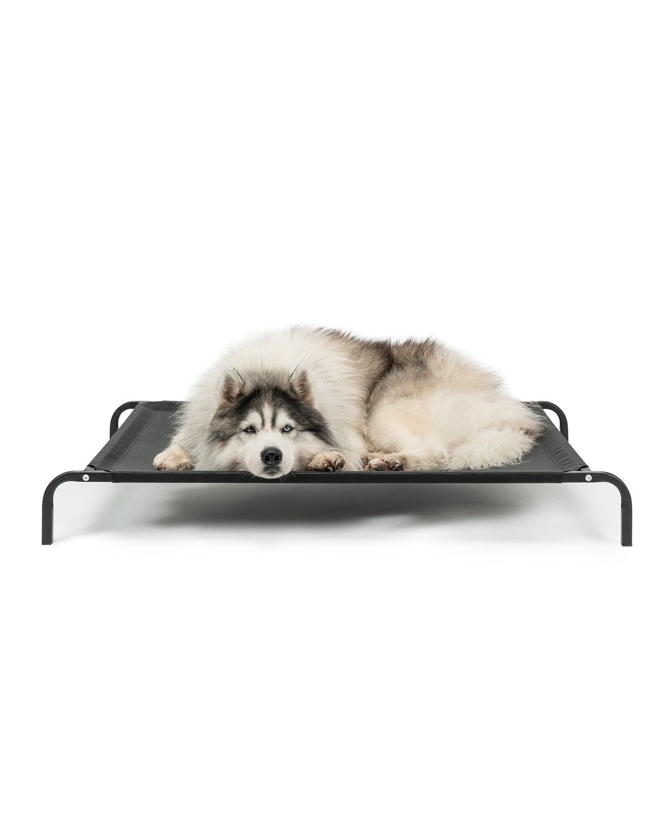 Tumbona elevada para perros para casa y jardín