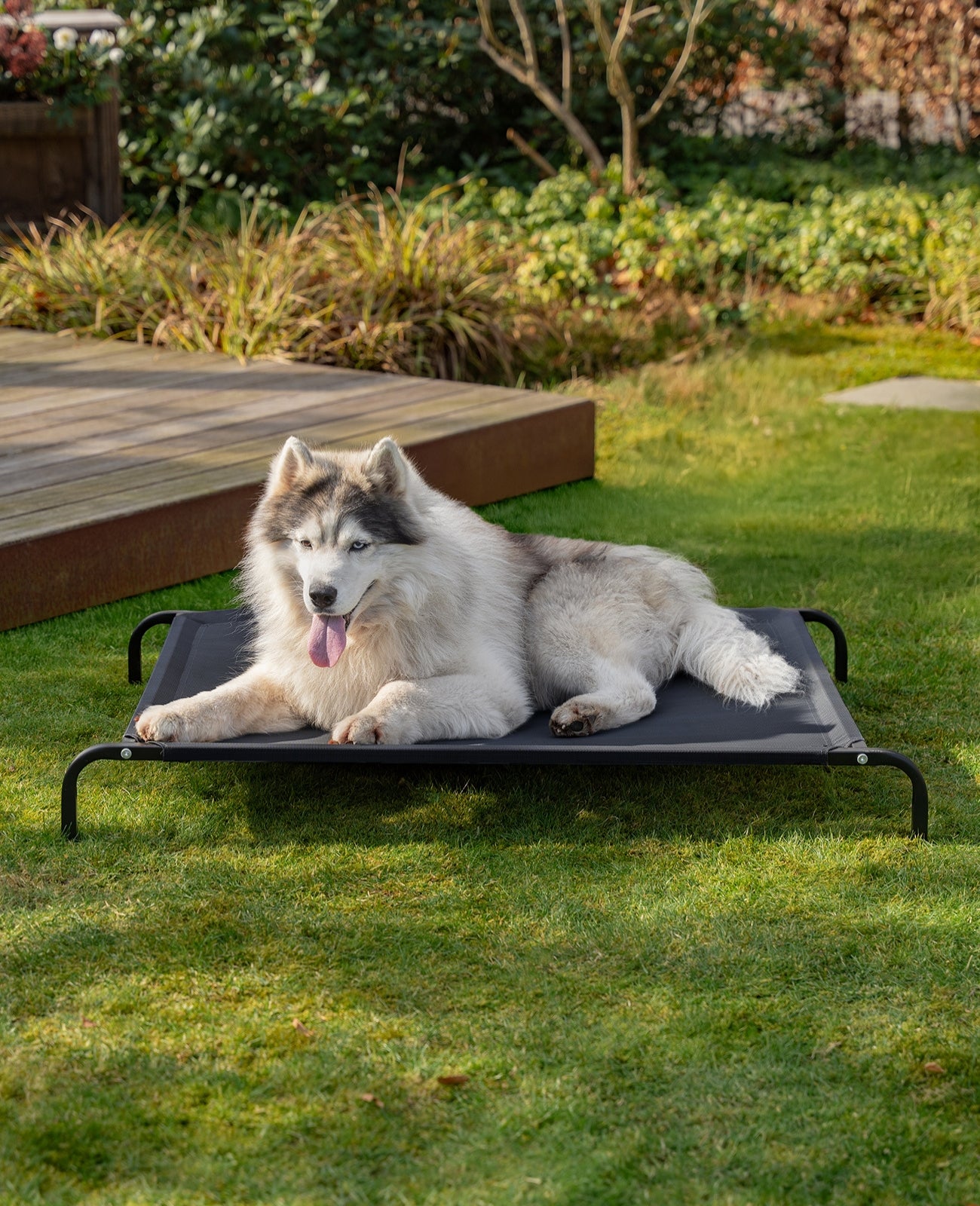 Tumbona elevada para perros para casa y jardín