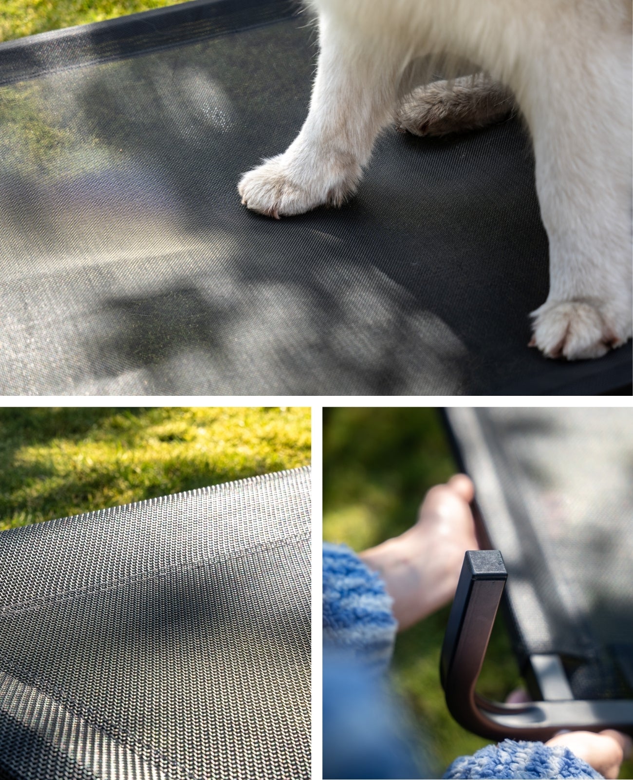 Tumbona elevada para perros para casa y jardín