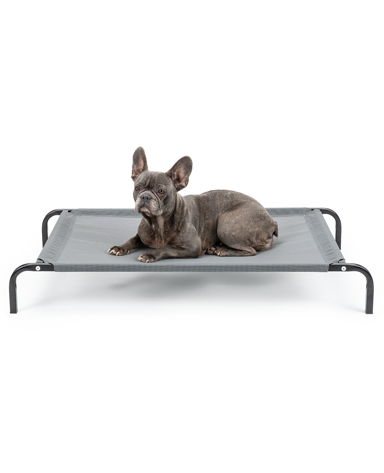 Tumbona elevada para perros para casa y jardín