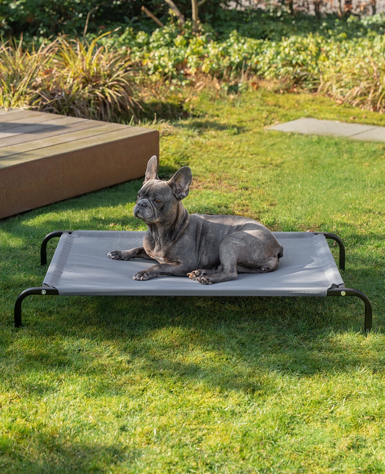 Tumbona elevada para perros para casa y jardín