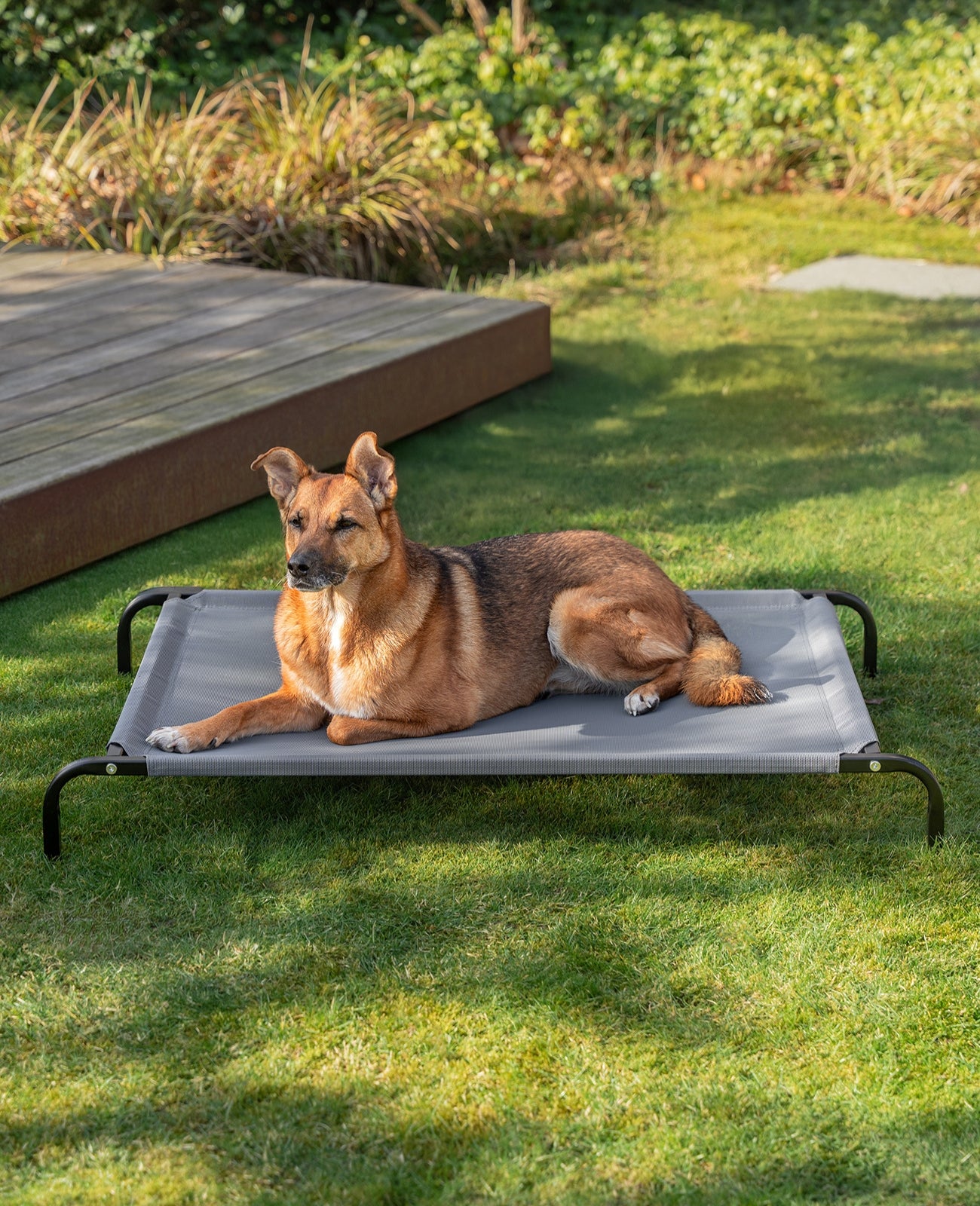 Tumbona elevada para perros para casa y jardín