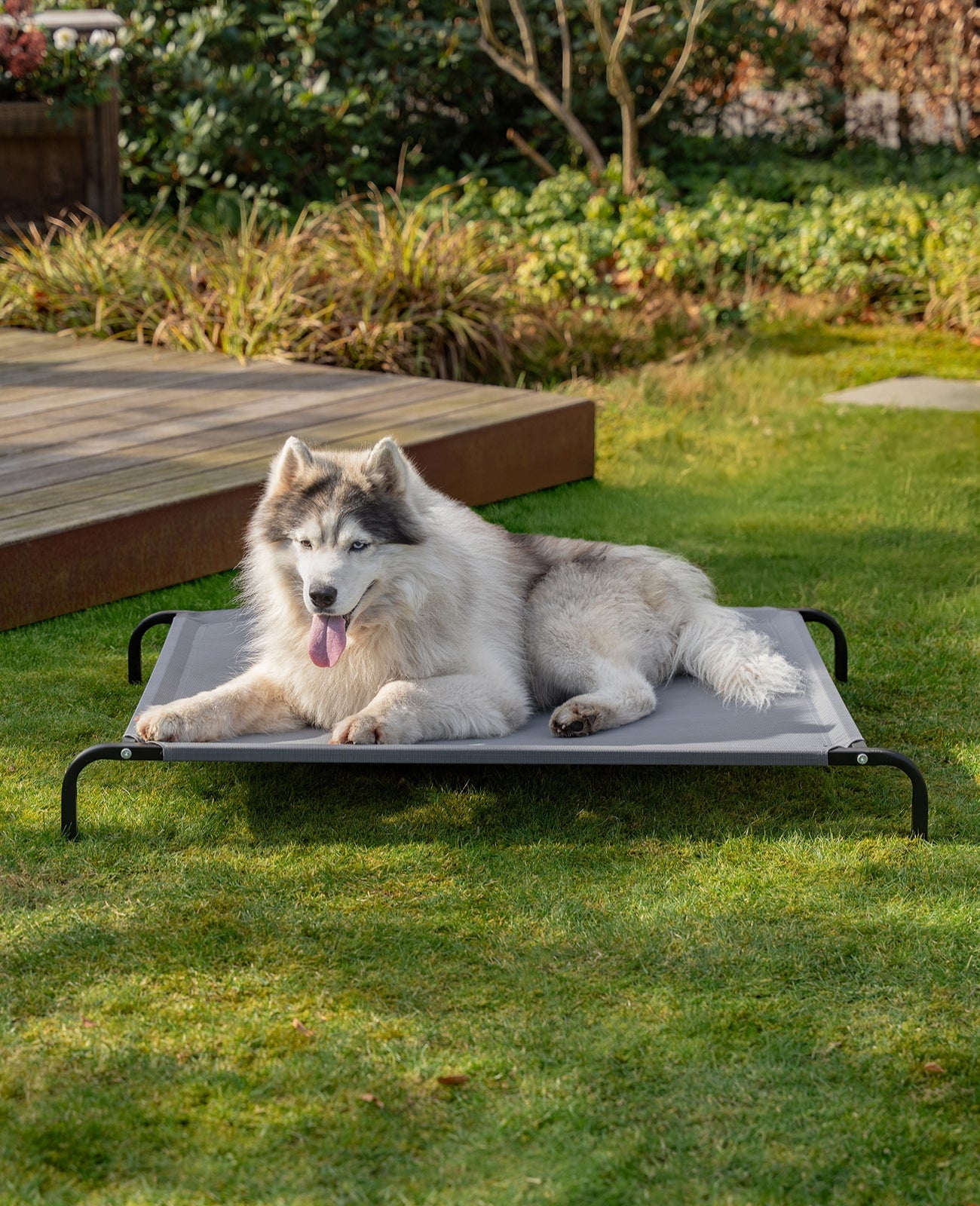 Tumbona elevada para perros para casa y jardín