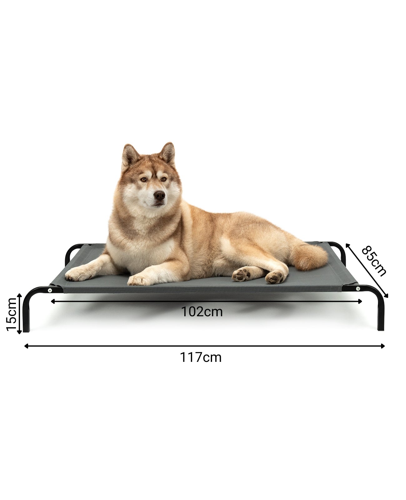 Tumbona elevada para perros para casa y jardín