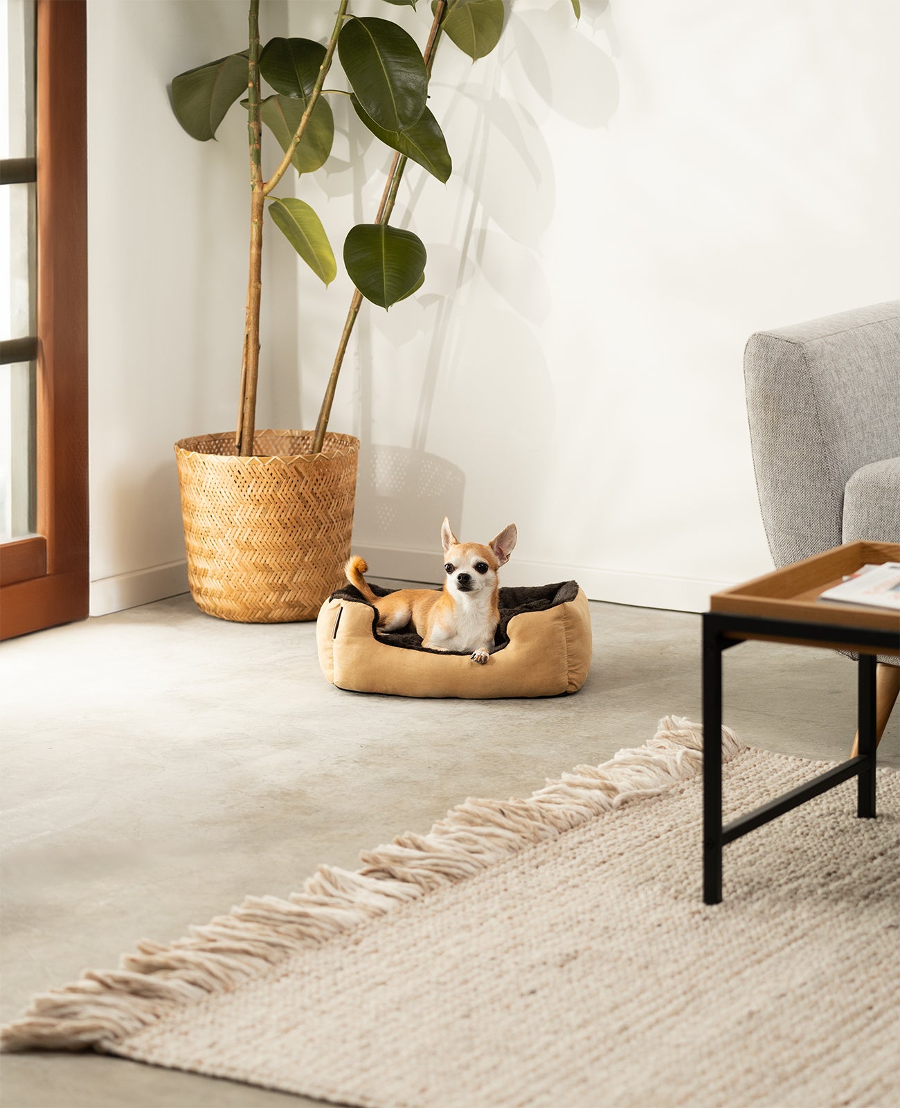 Cama para perros con cojín reversible