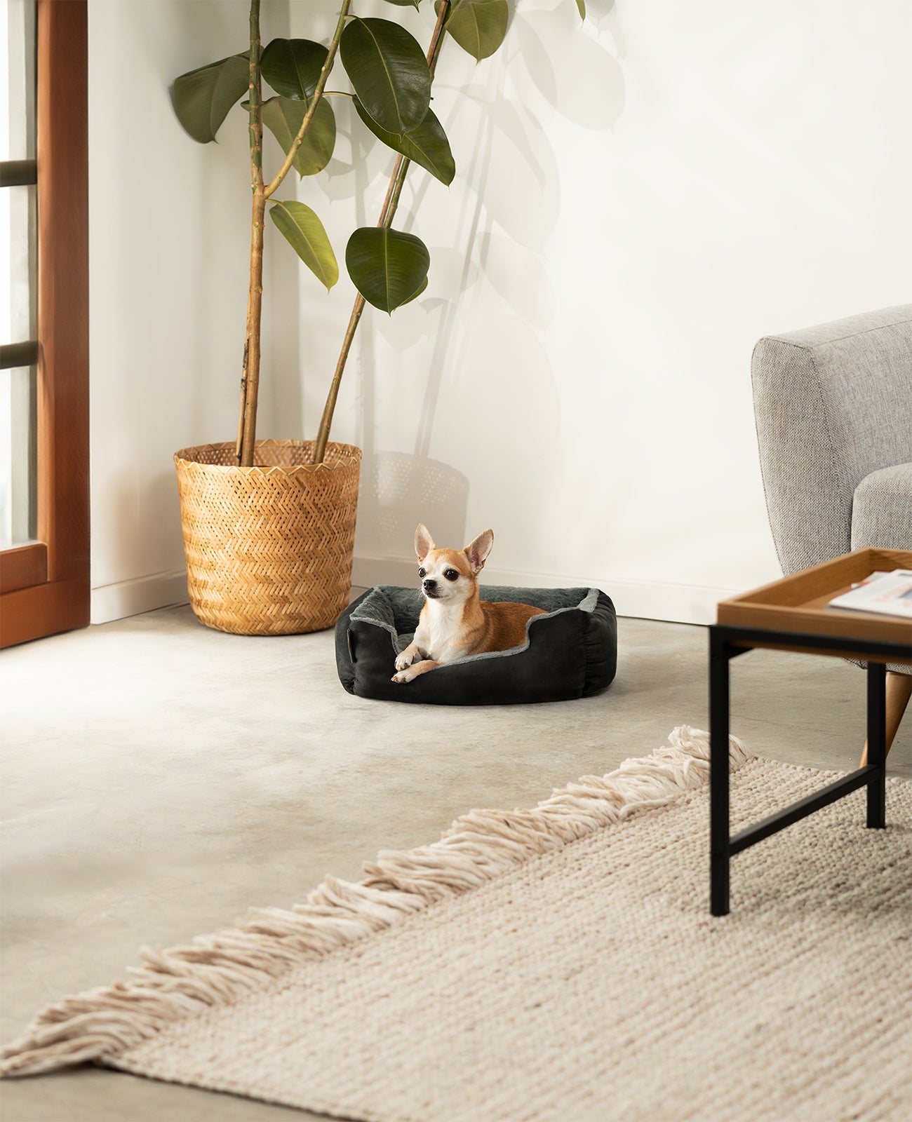 Cama para perros con cojín reversible