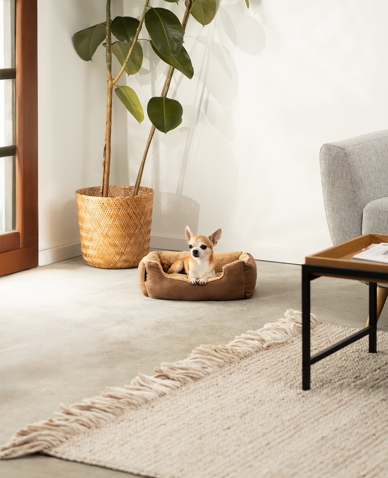 Cama para perros con cojín reversible