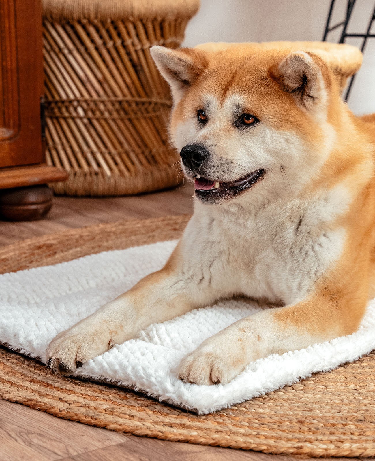 Manta reversible para perros