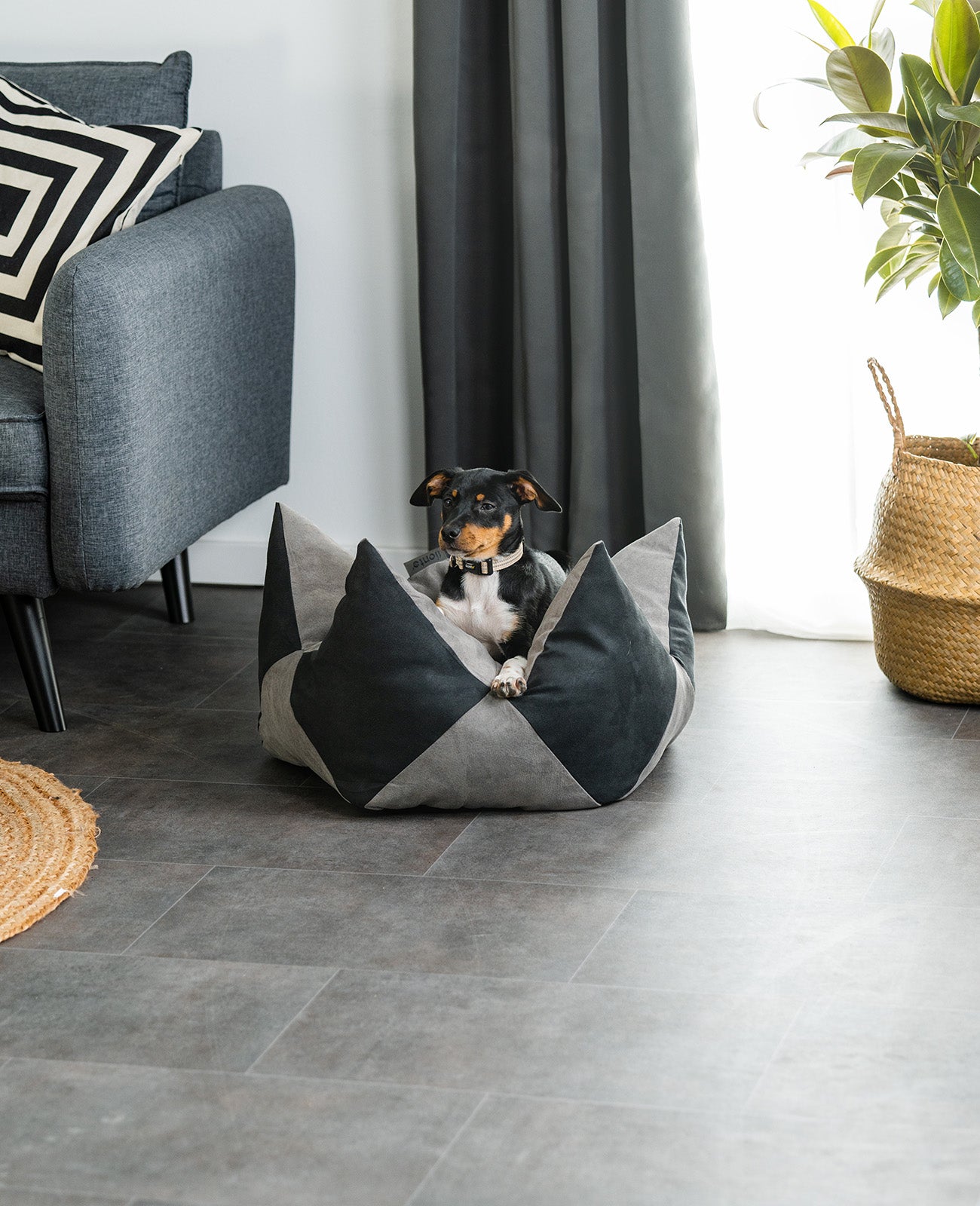 Almohada corona para perros