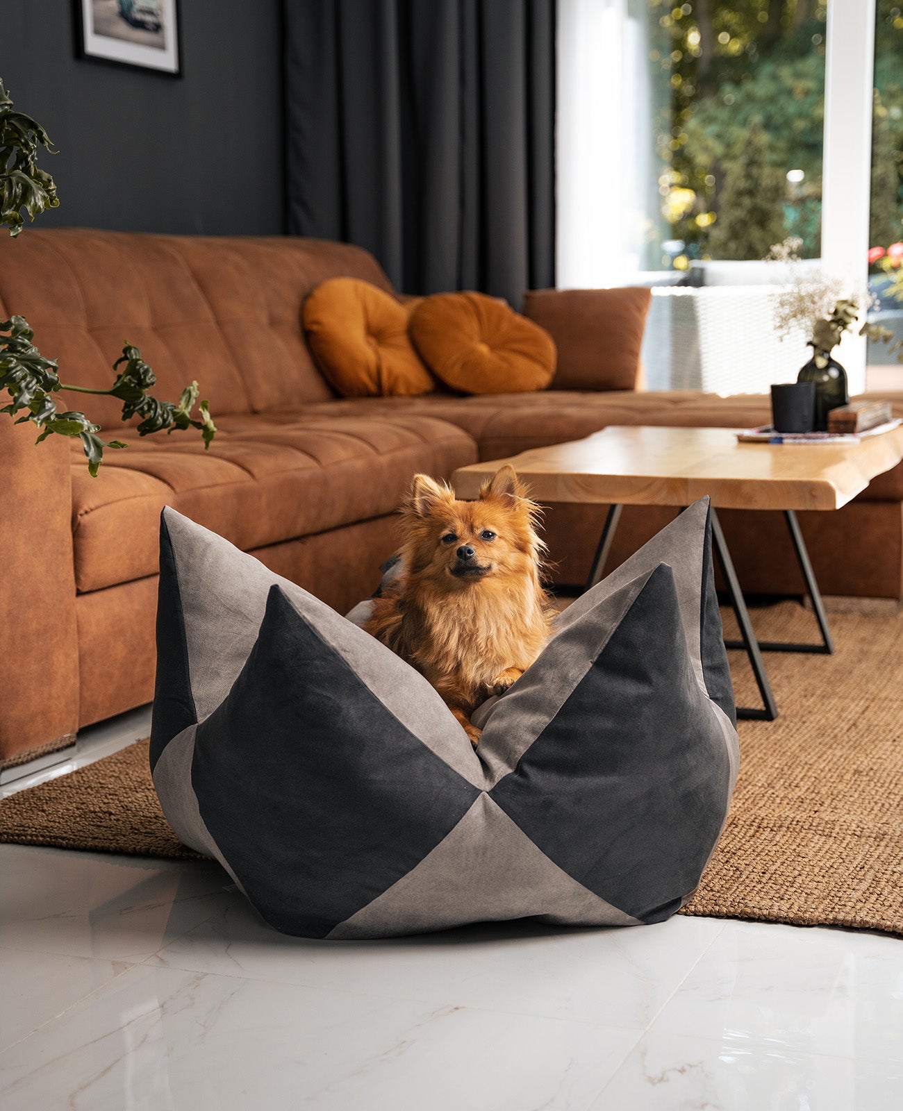 Almohada corona para perros