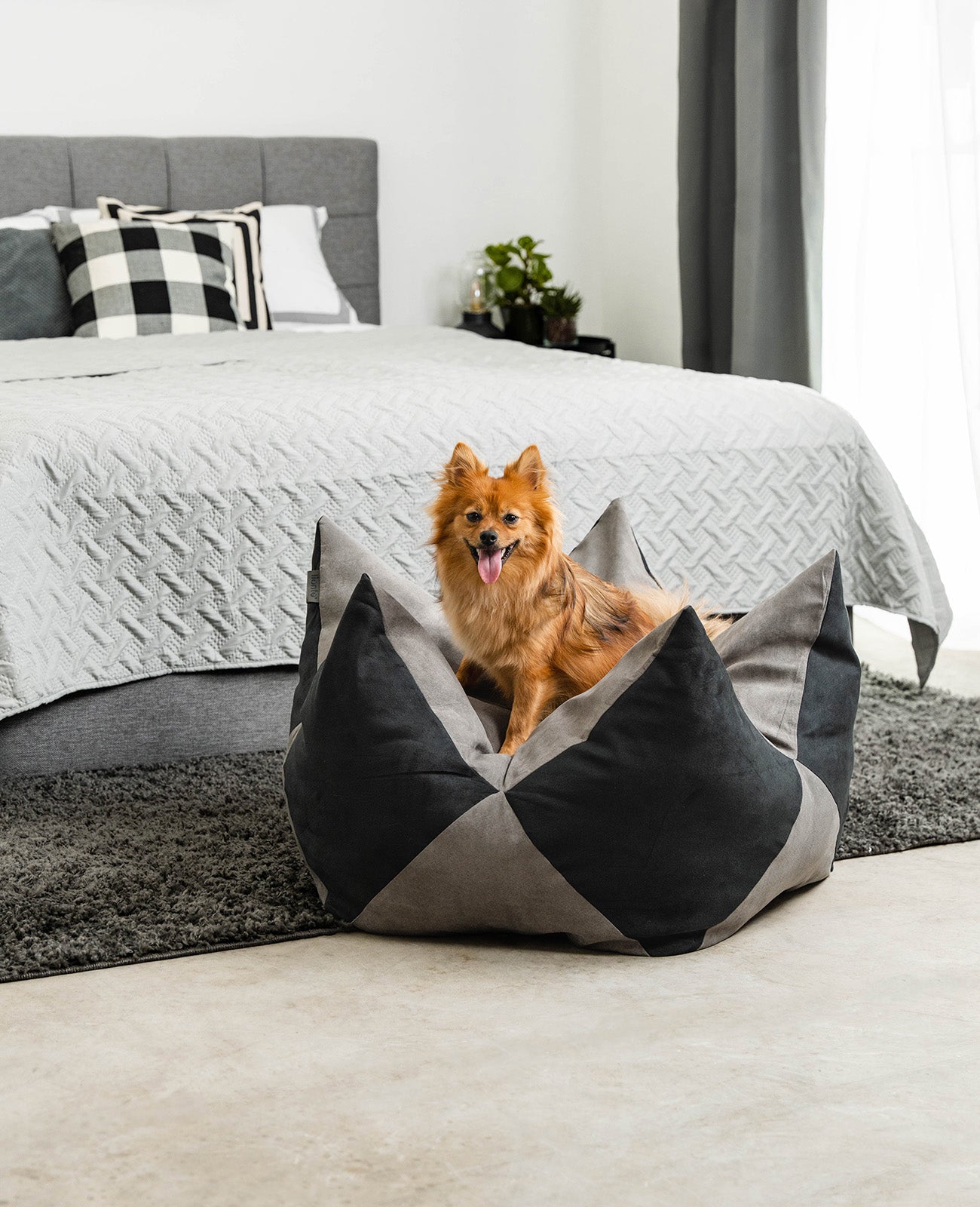 Almohada corona para perros