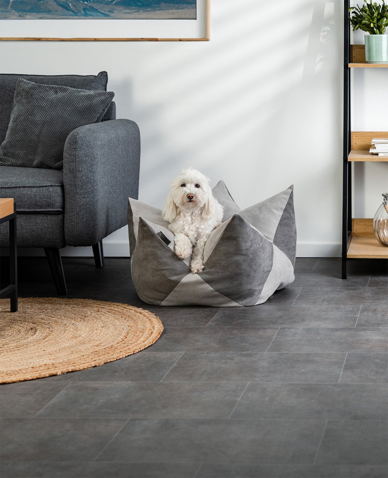 Almohada corona para perros