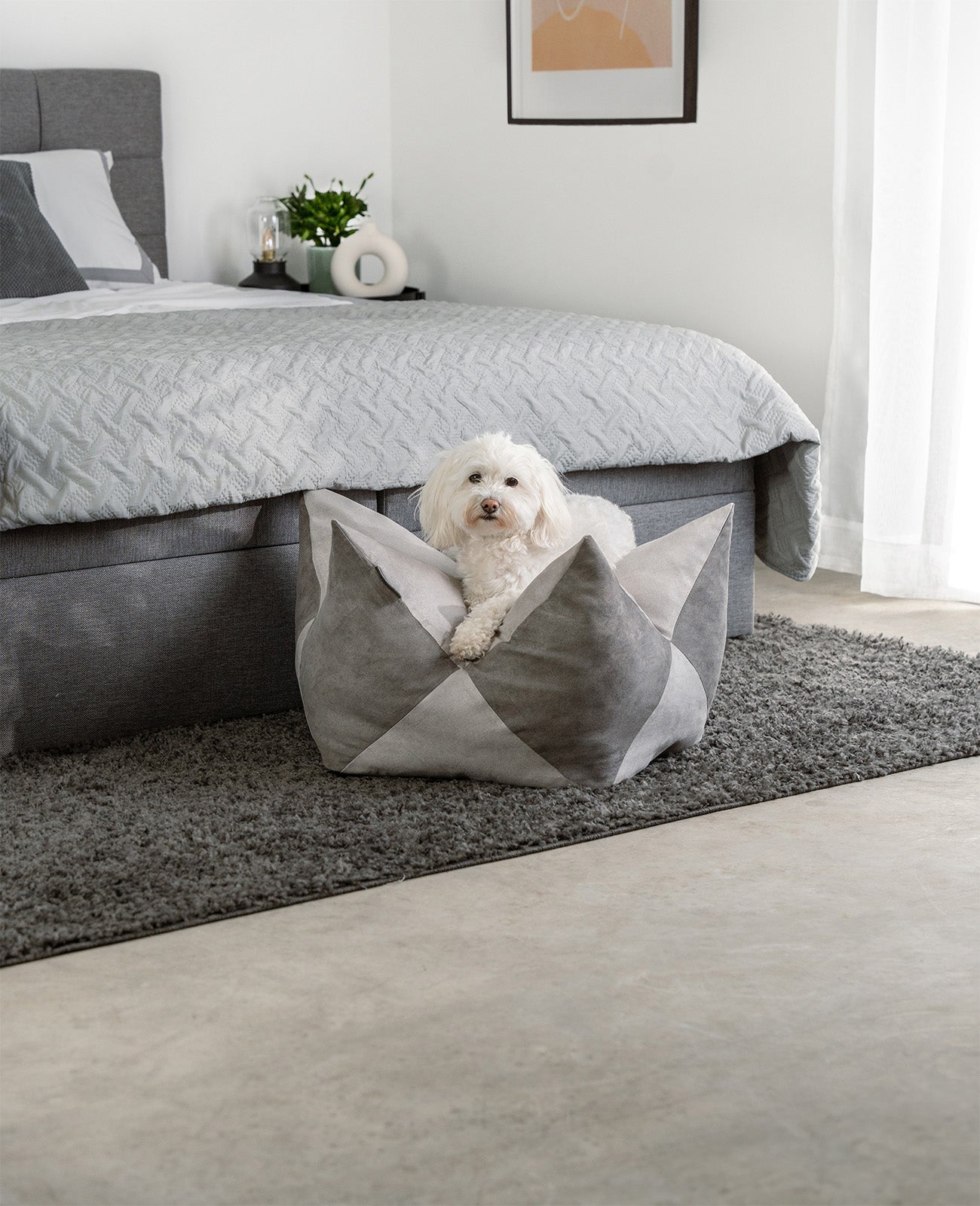 Almohada corona para perros