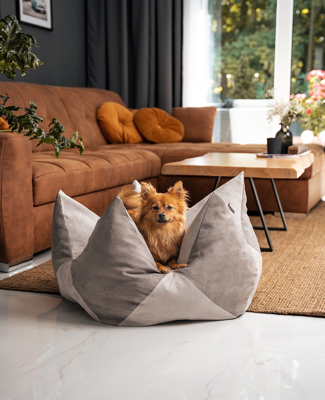 Almohada corona para perros