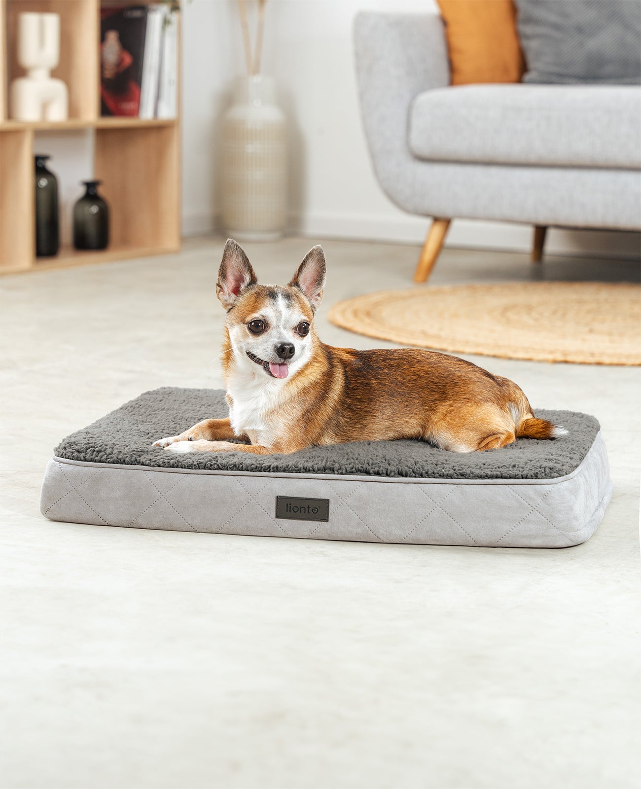 Cama ortopédica para perros