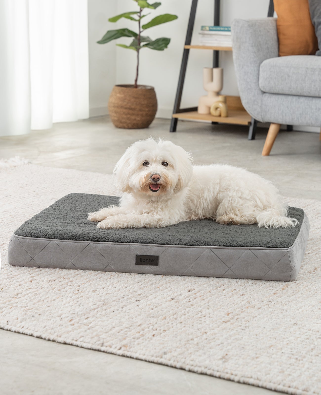 Cama ortopédica para perros