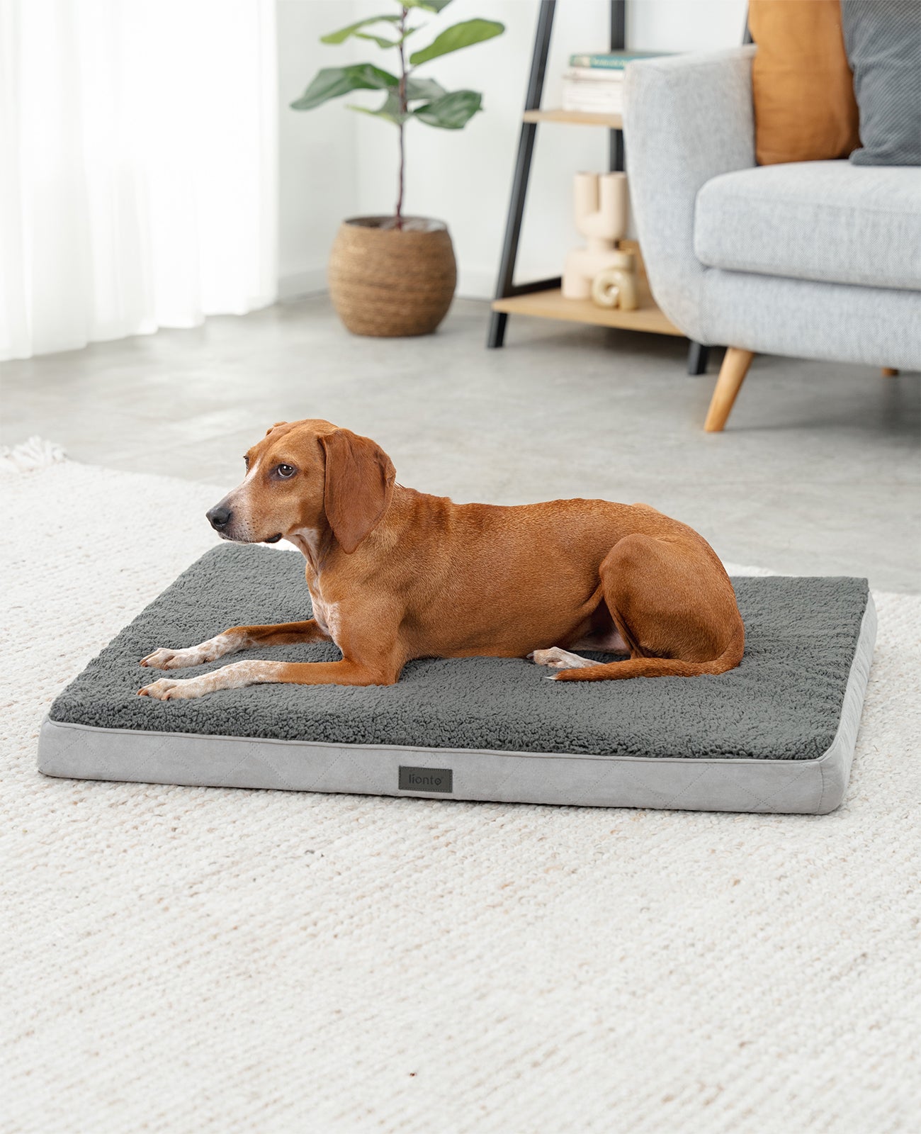 Cama ortopédica para perros