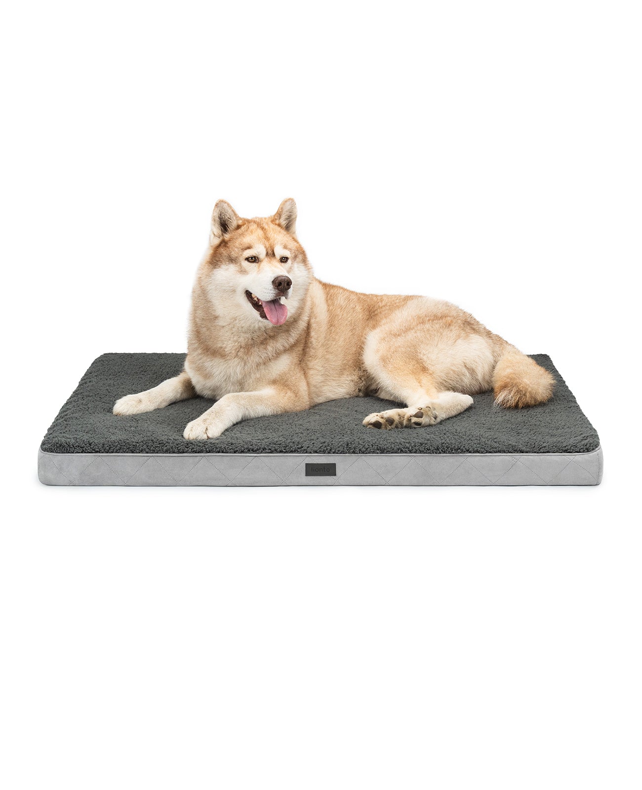 Cama ortopédica para perros