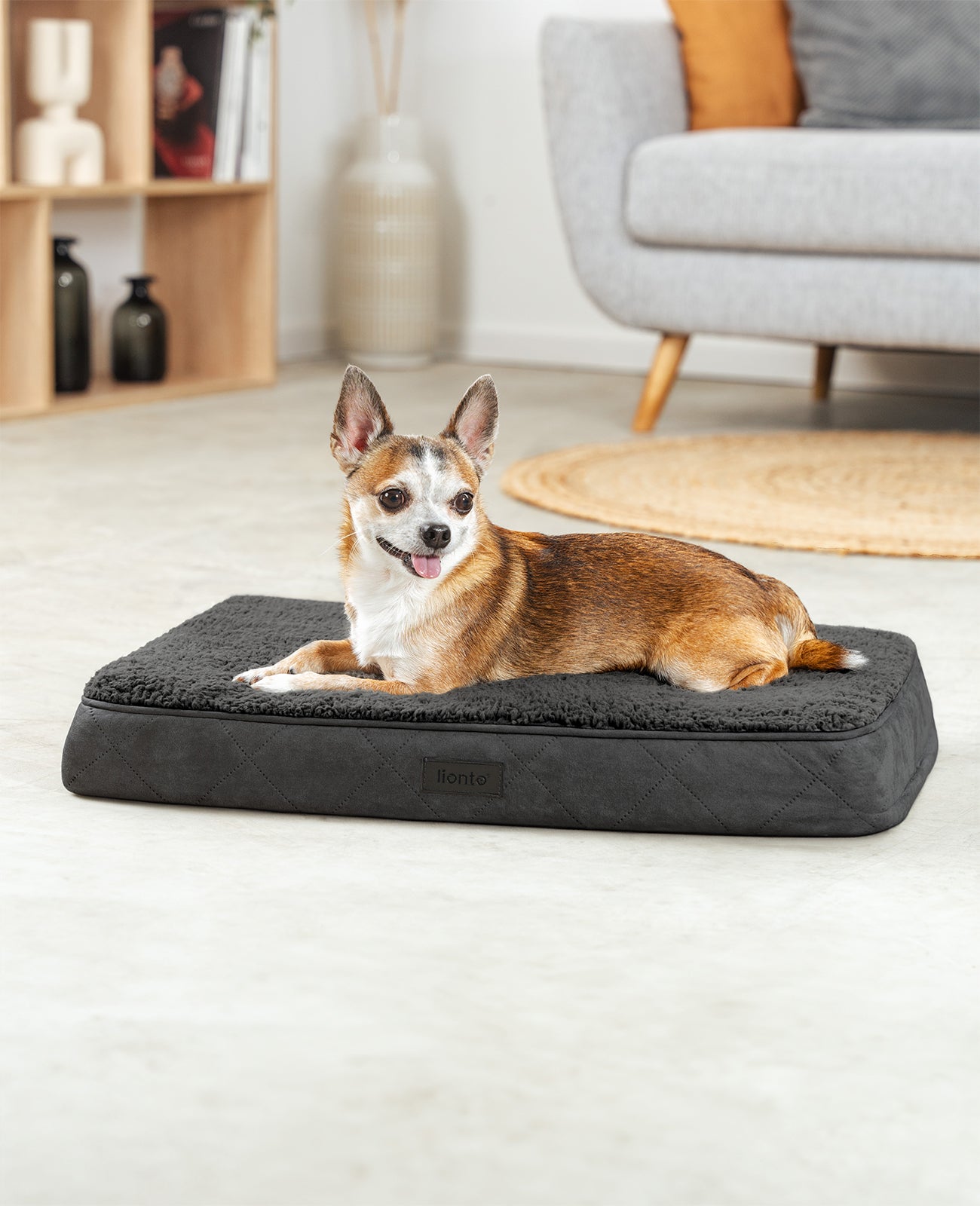 Cama ortopédica para perros