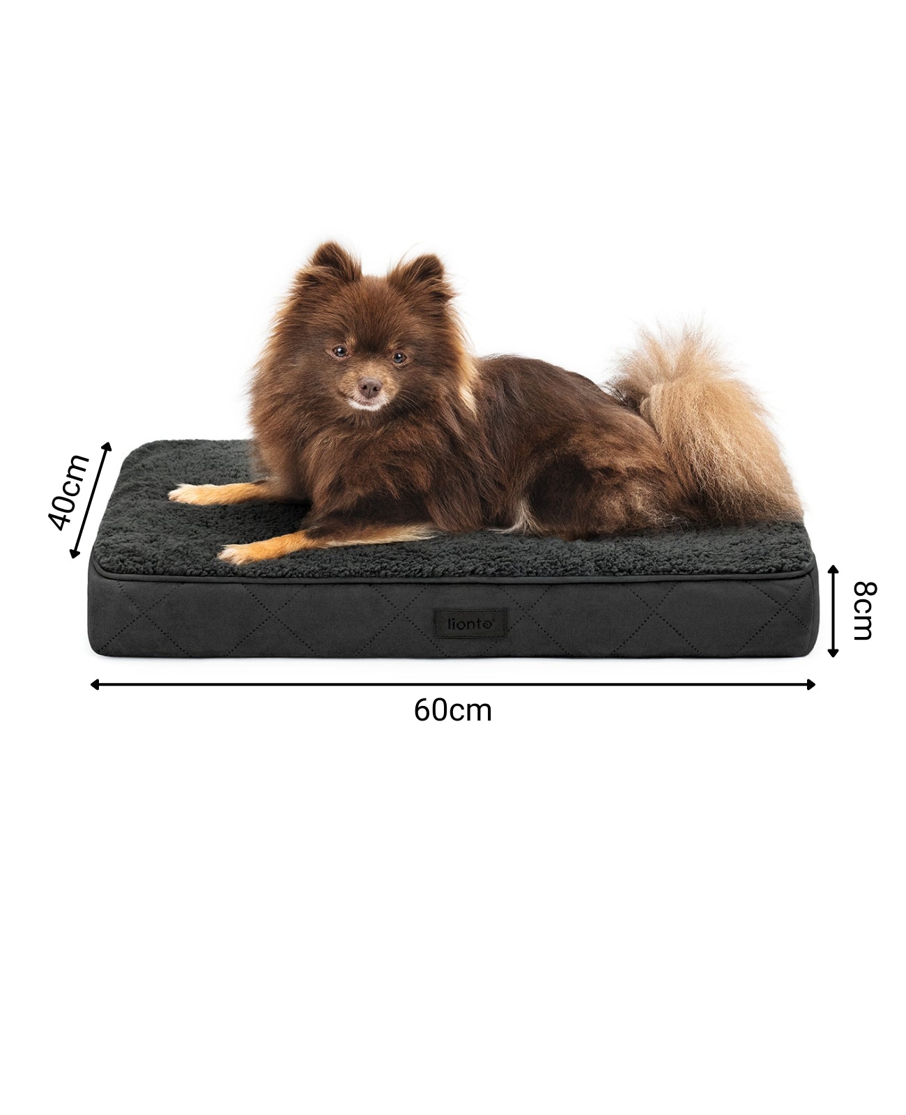 Cama ortopédica para perros