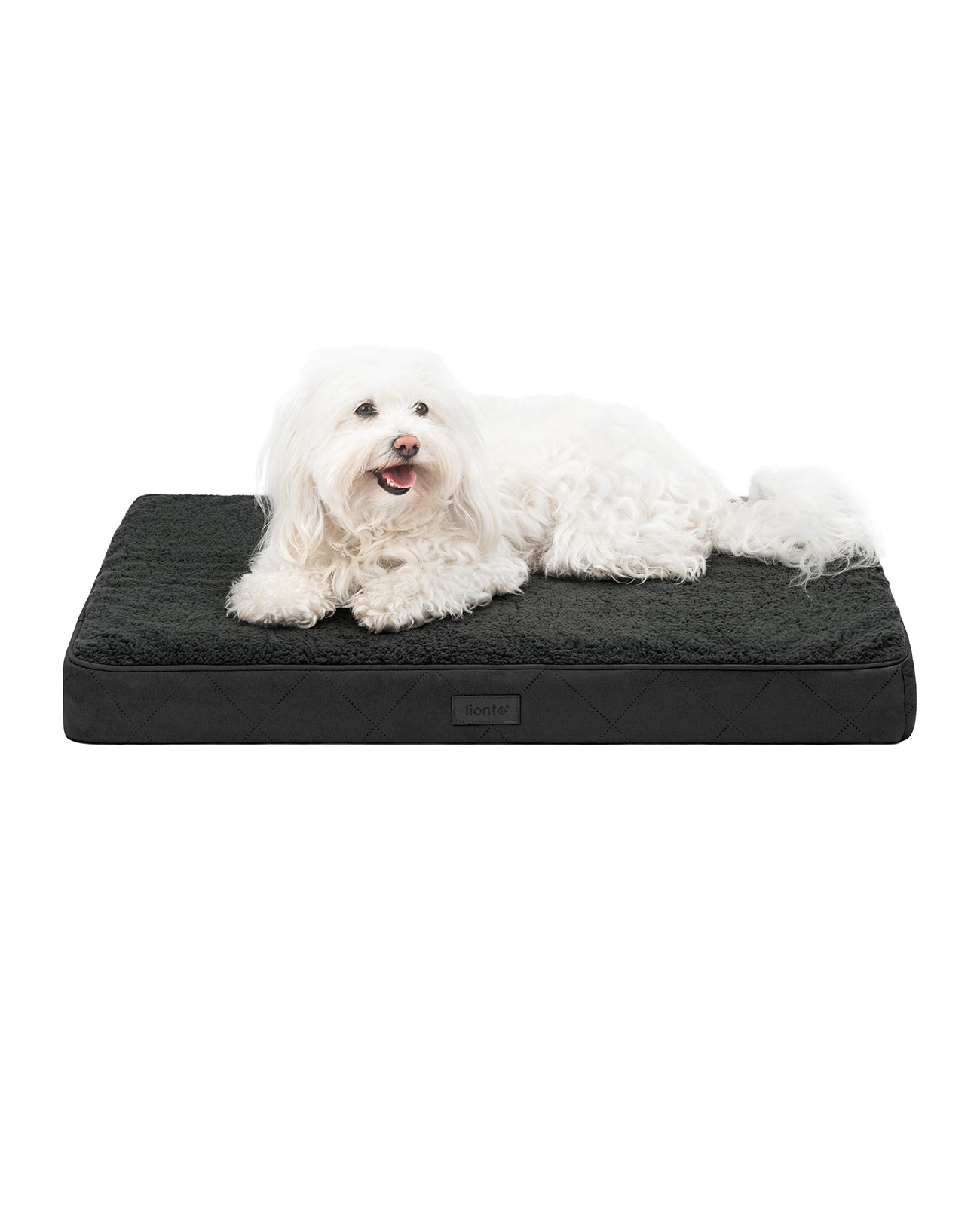 Cama ortopédica para perros