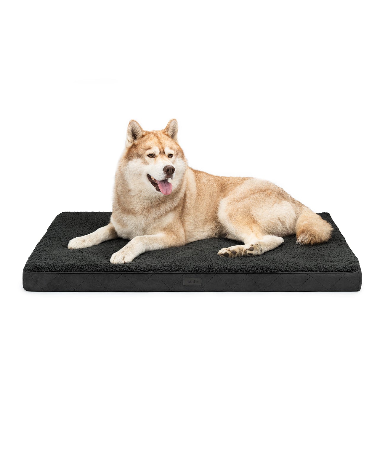 Cama ortopédica para perros