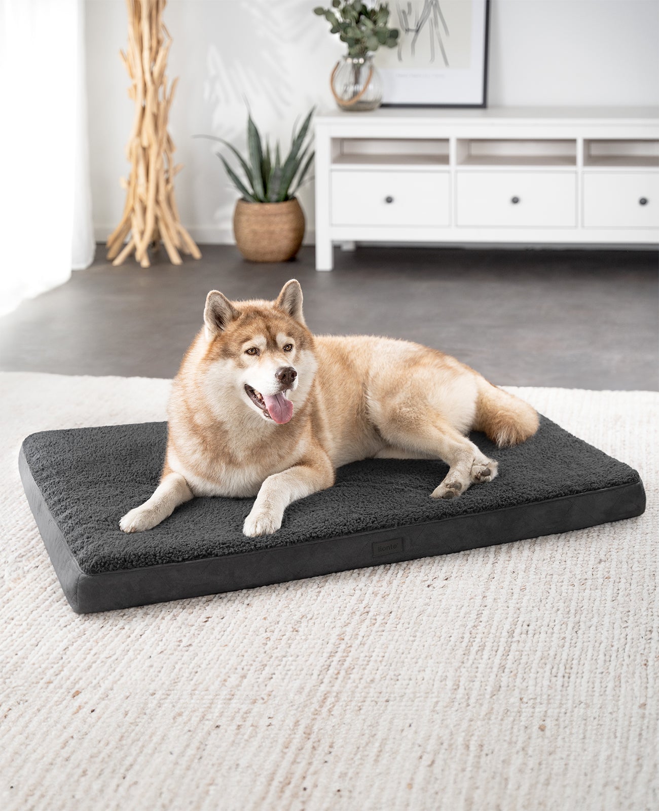 Cama ortopédica para perros