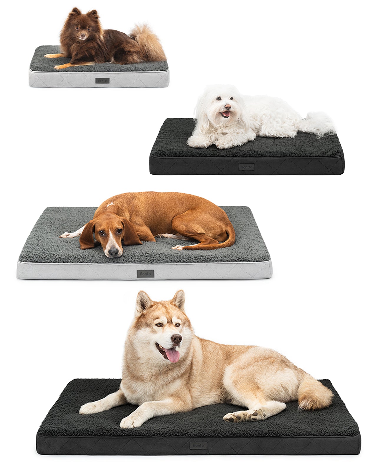 Cama ortopédica para perros