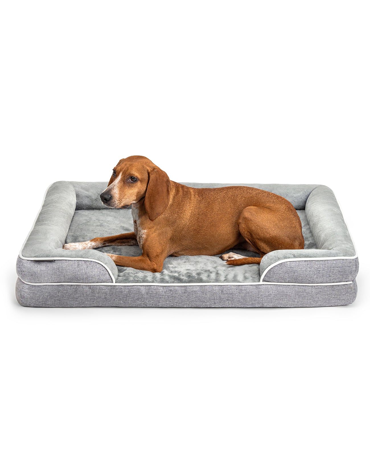 lionto Cama ortopédica para perros, borde elevado, antideslizante, varios tallas