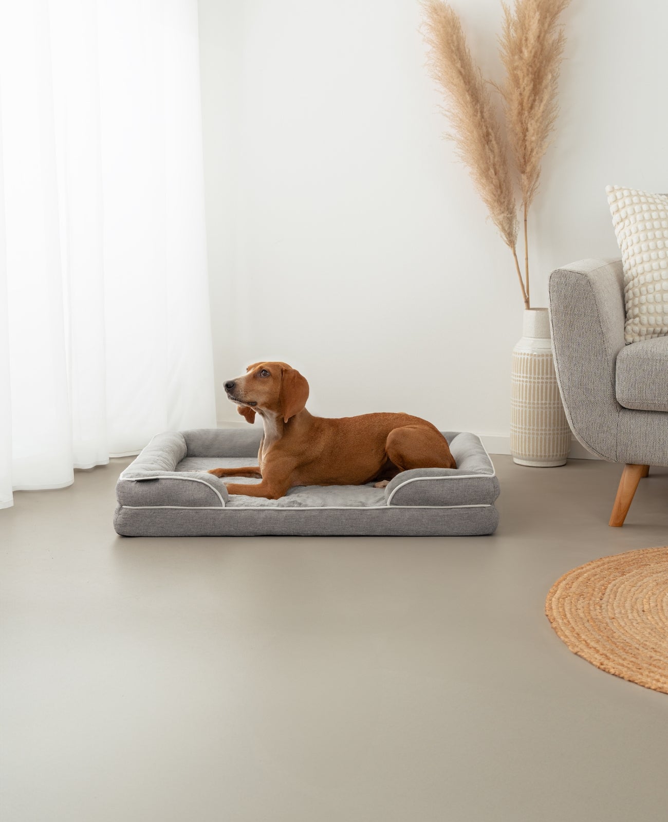 lionto Cama ortopédica para perros, borde elevado, antideslizante, varios tallas