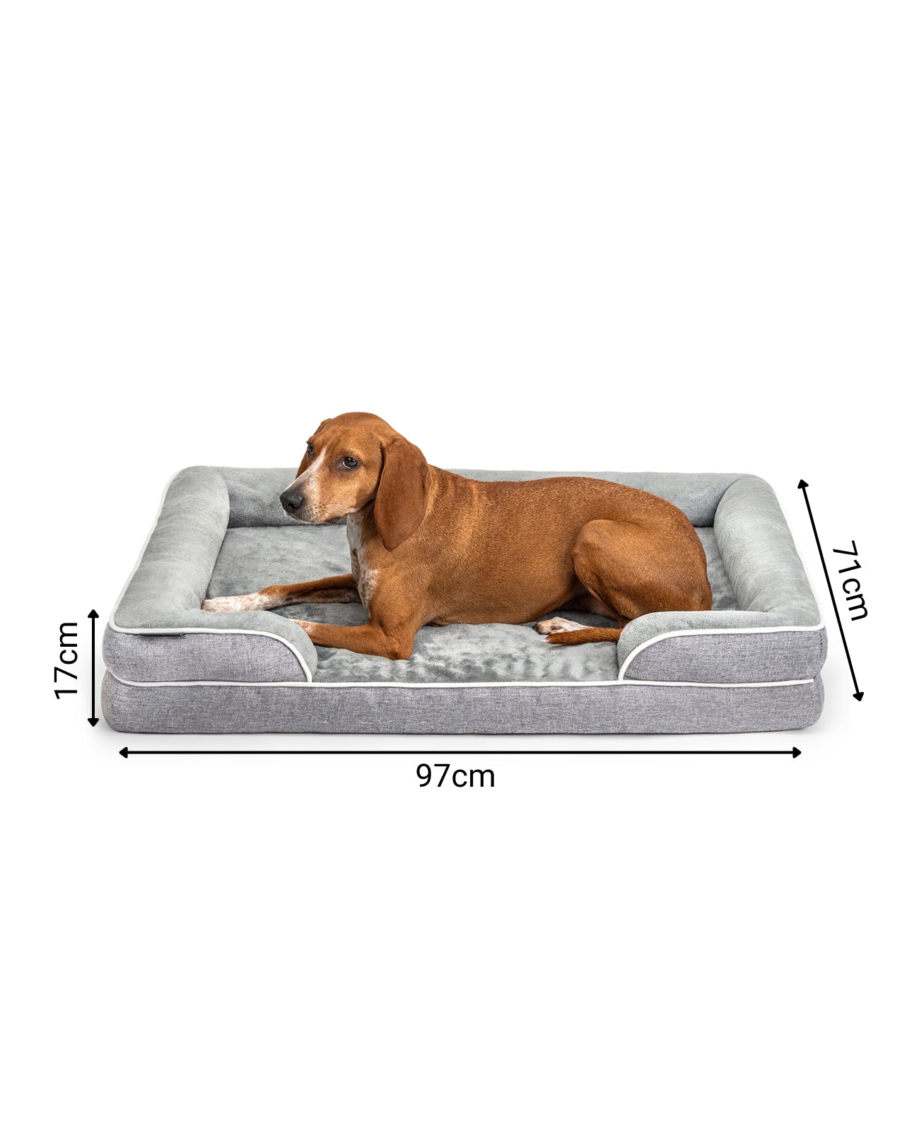 lionto Cama ortopédica para perros, borde elevado, antideslizante, varios tallas