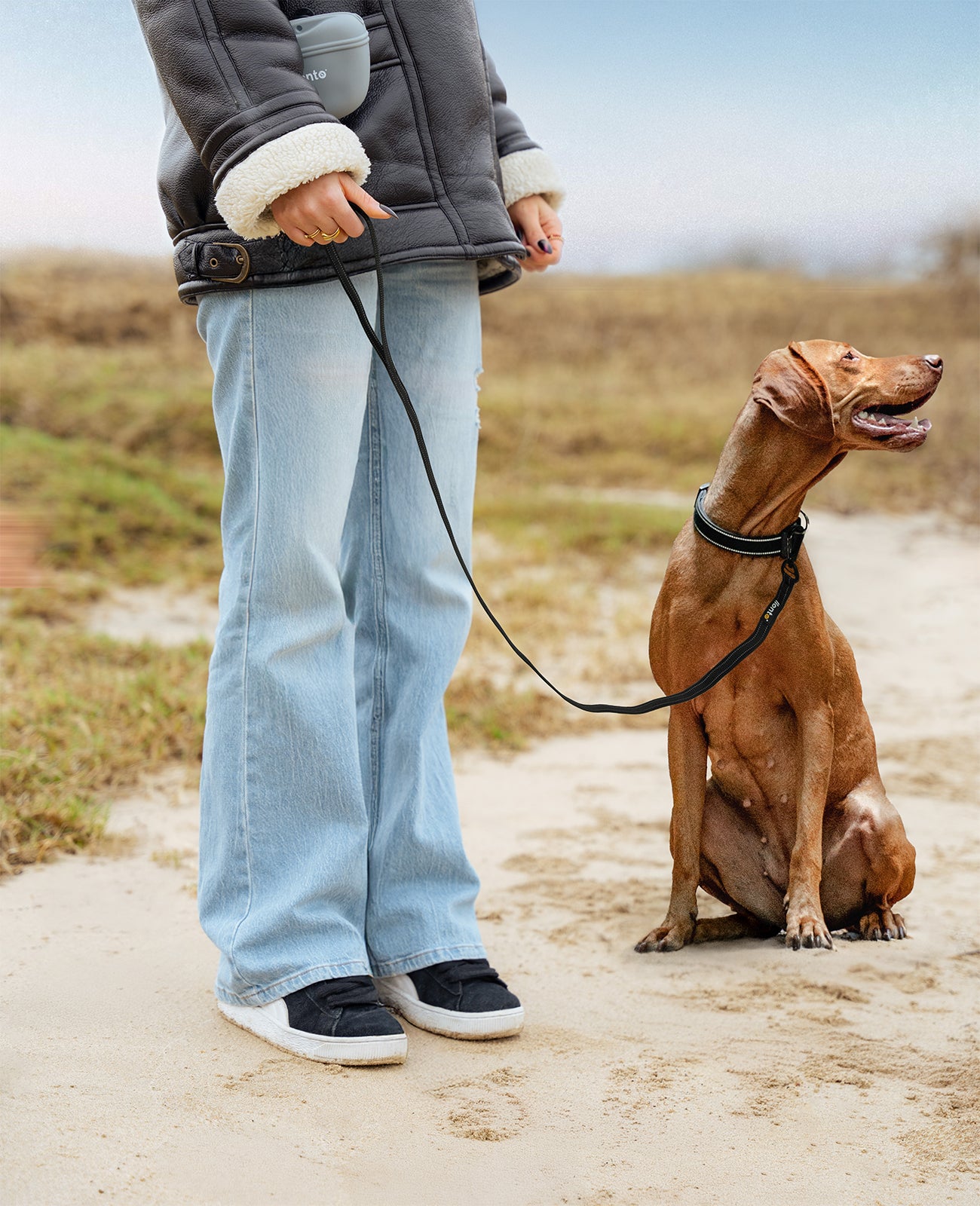 Correa de goma para perros, reflectante