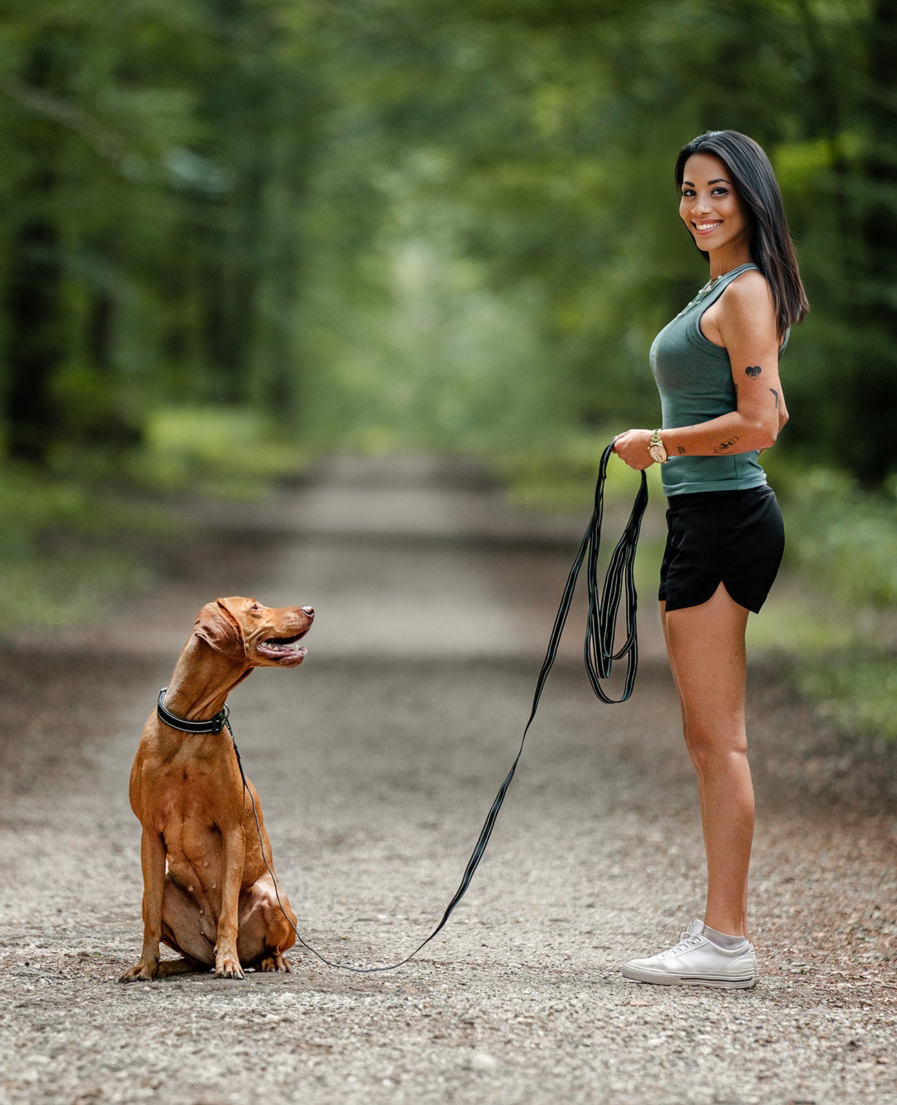 Correa de arrastre para perros, reflectante
