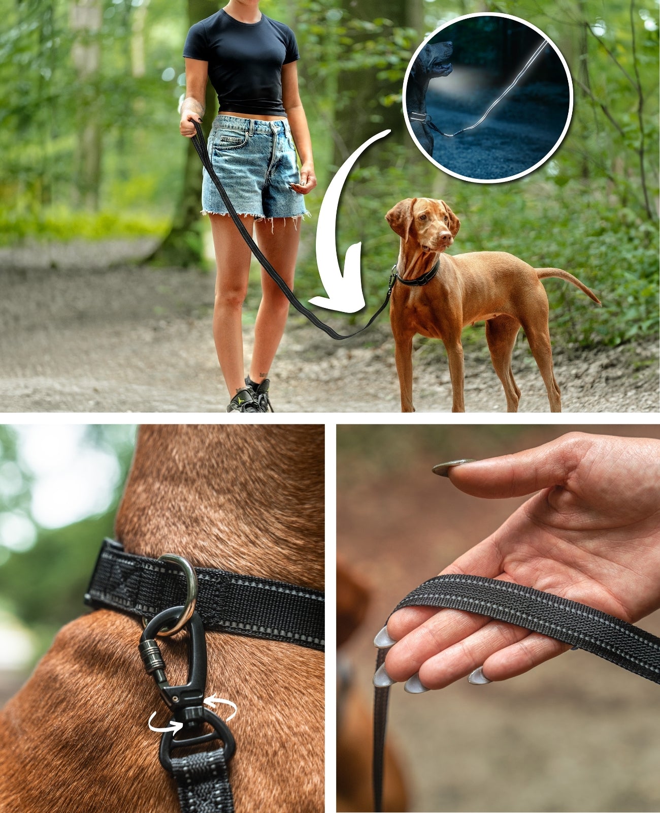 Correa de goma para perros, reflectante